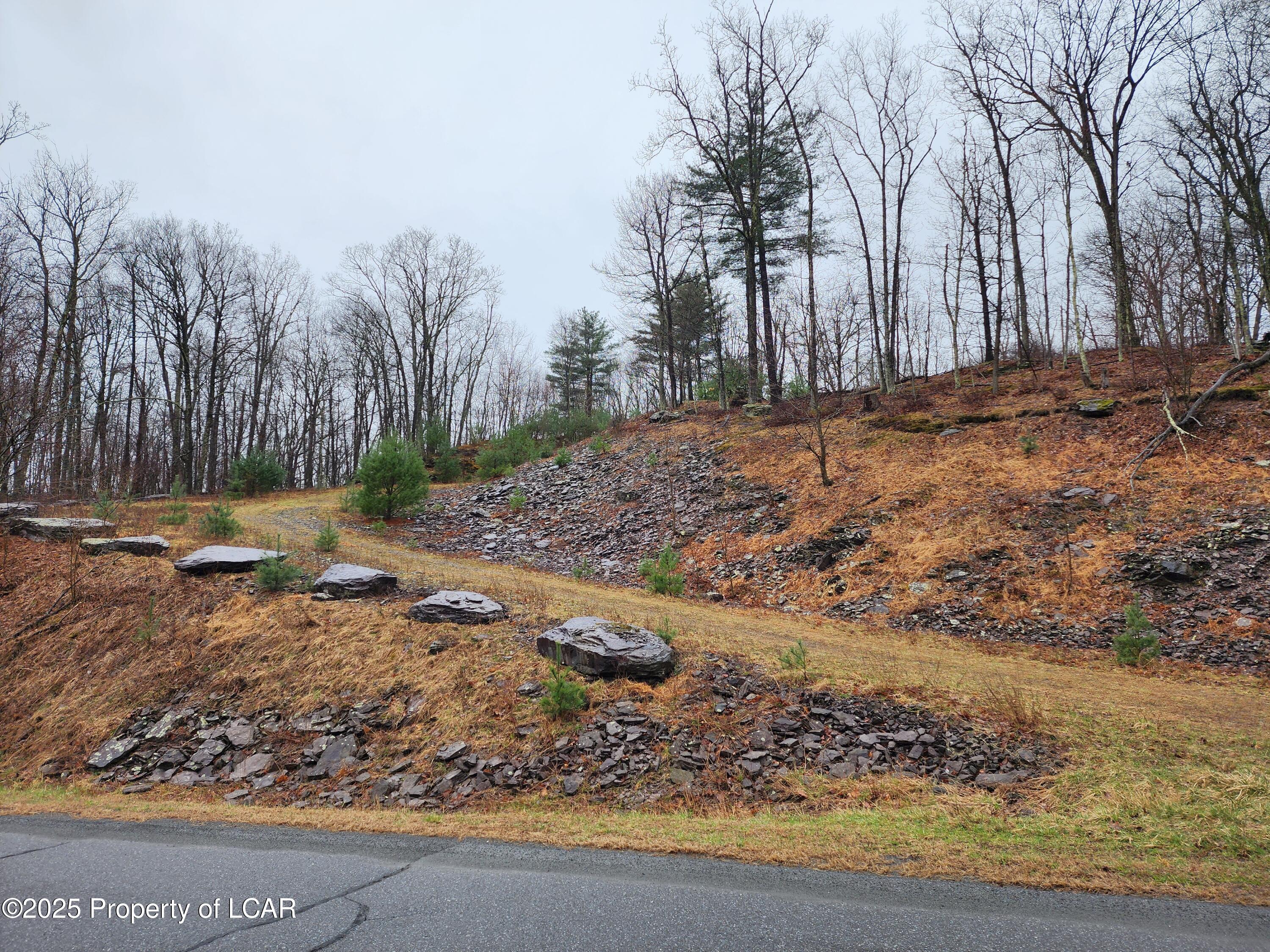 Manorview Drive, Dallas, Pennsylvania image 2
