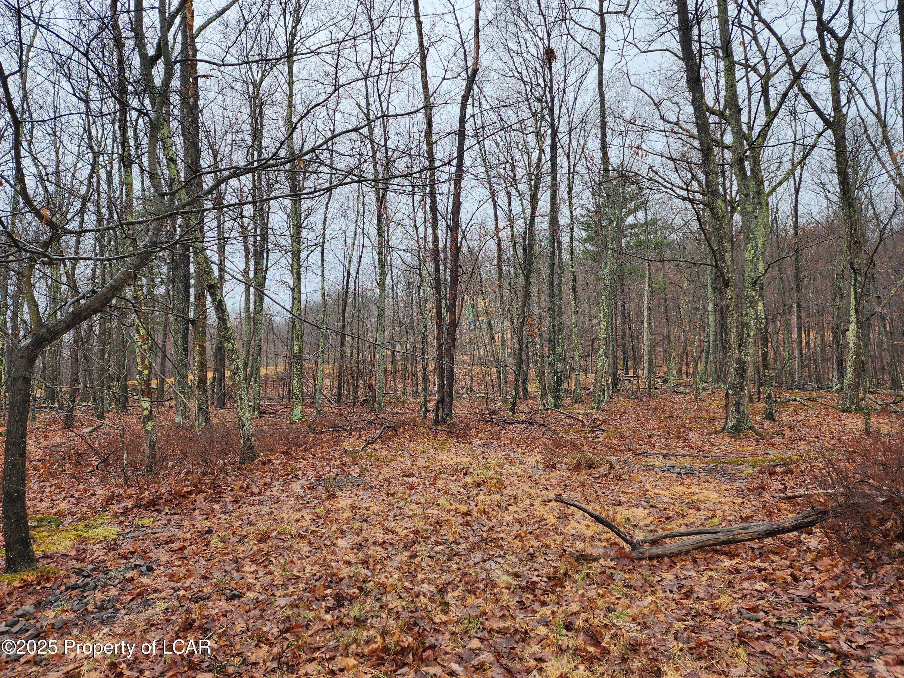 Manorview Drive, Dallas, Pennsylvania image 5