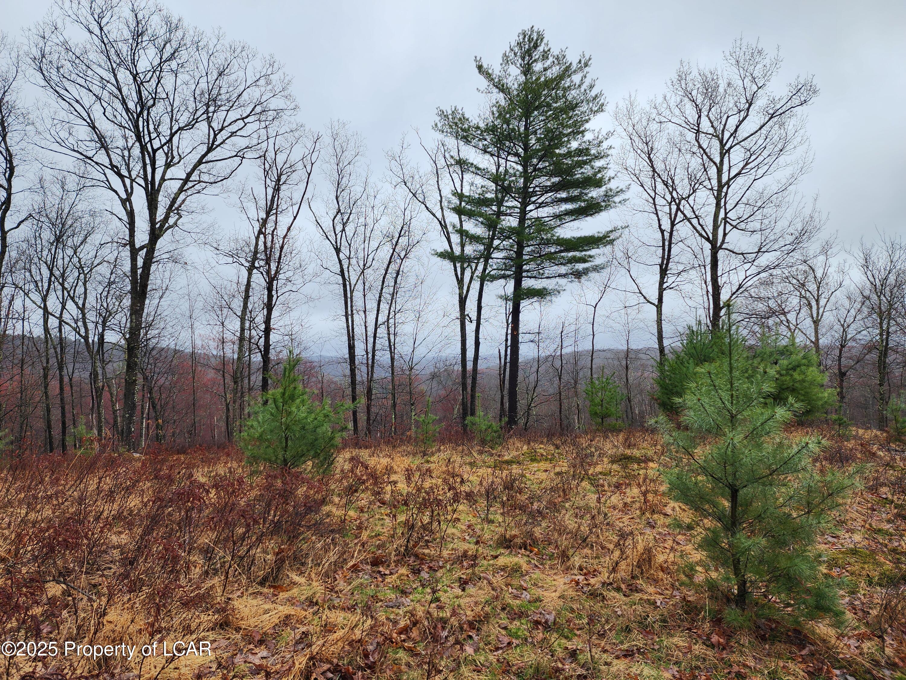 Manorview Drive, Dallas, Pennsylvania image 4