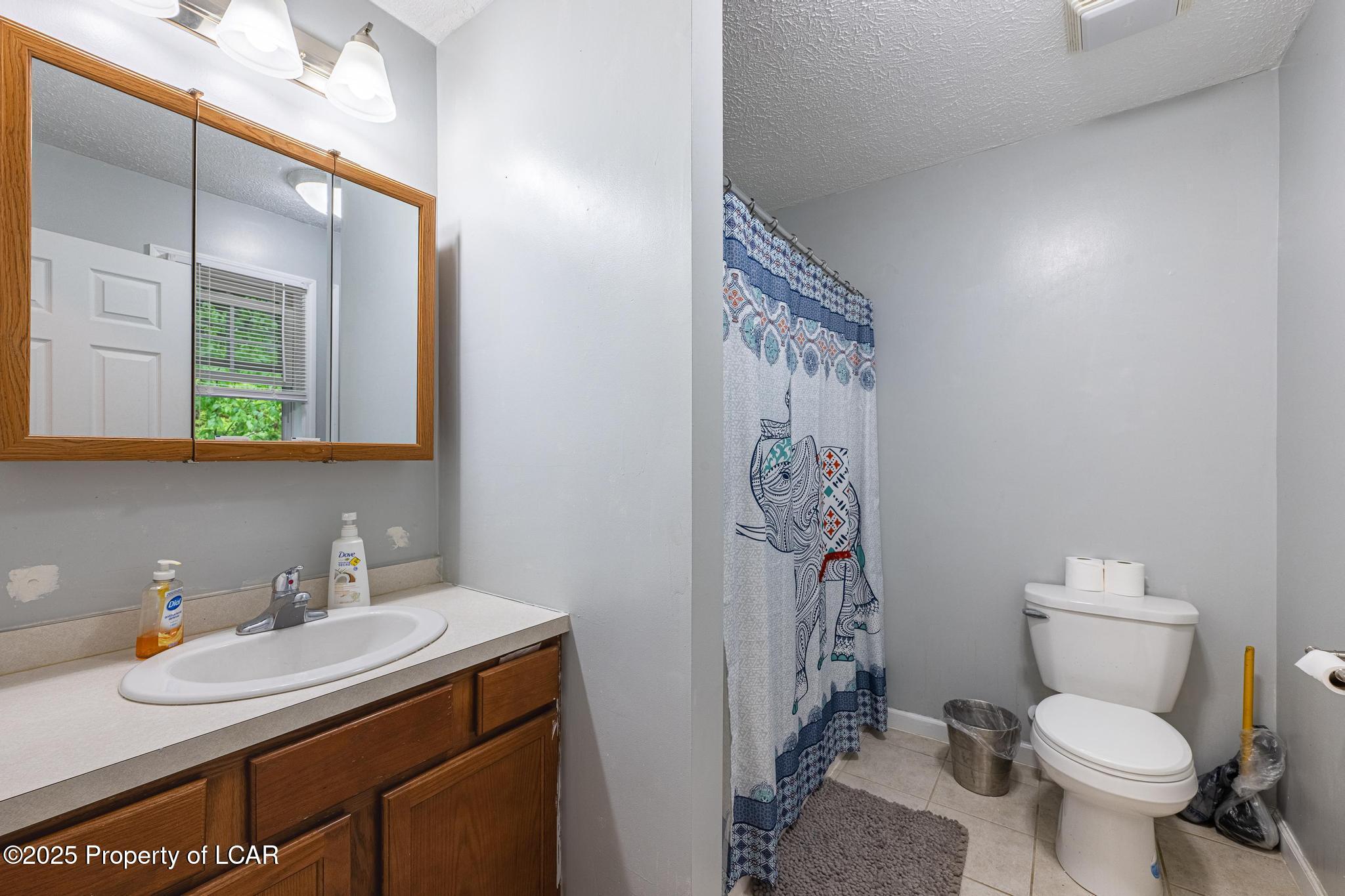 307 Buck Saw Drive, Drums, Texas image 11