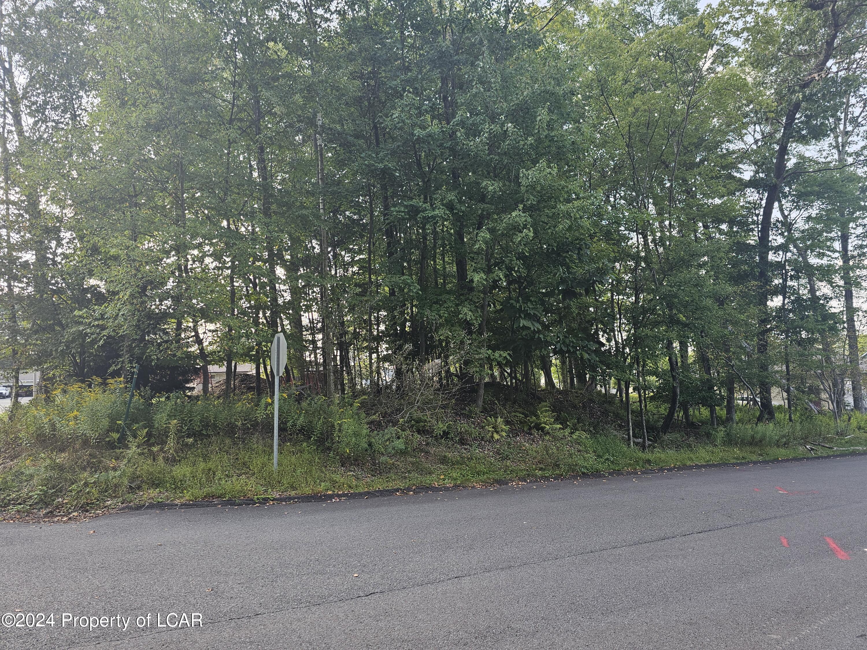 Woodland Avenue, Mountain Top, Pennsylvania image 2