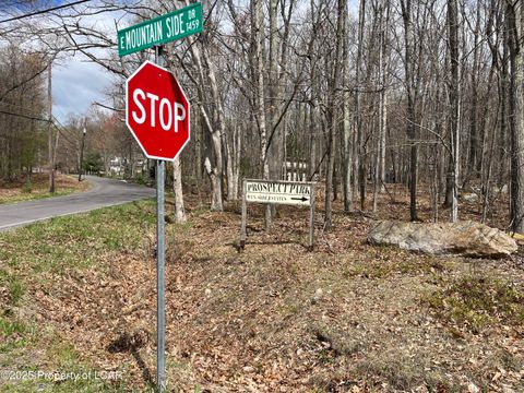 Vacant Land For Sale - Mountain Side Drive<br/> Sugarloaf, PA 18249