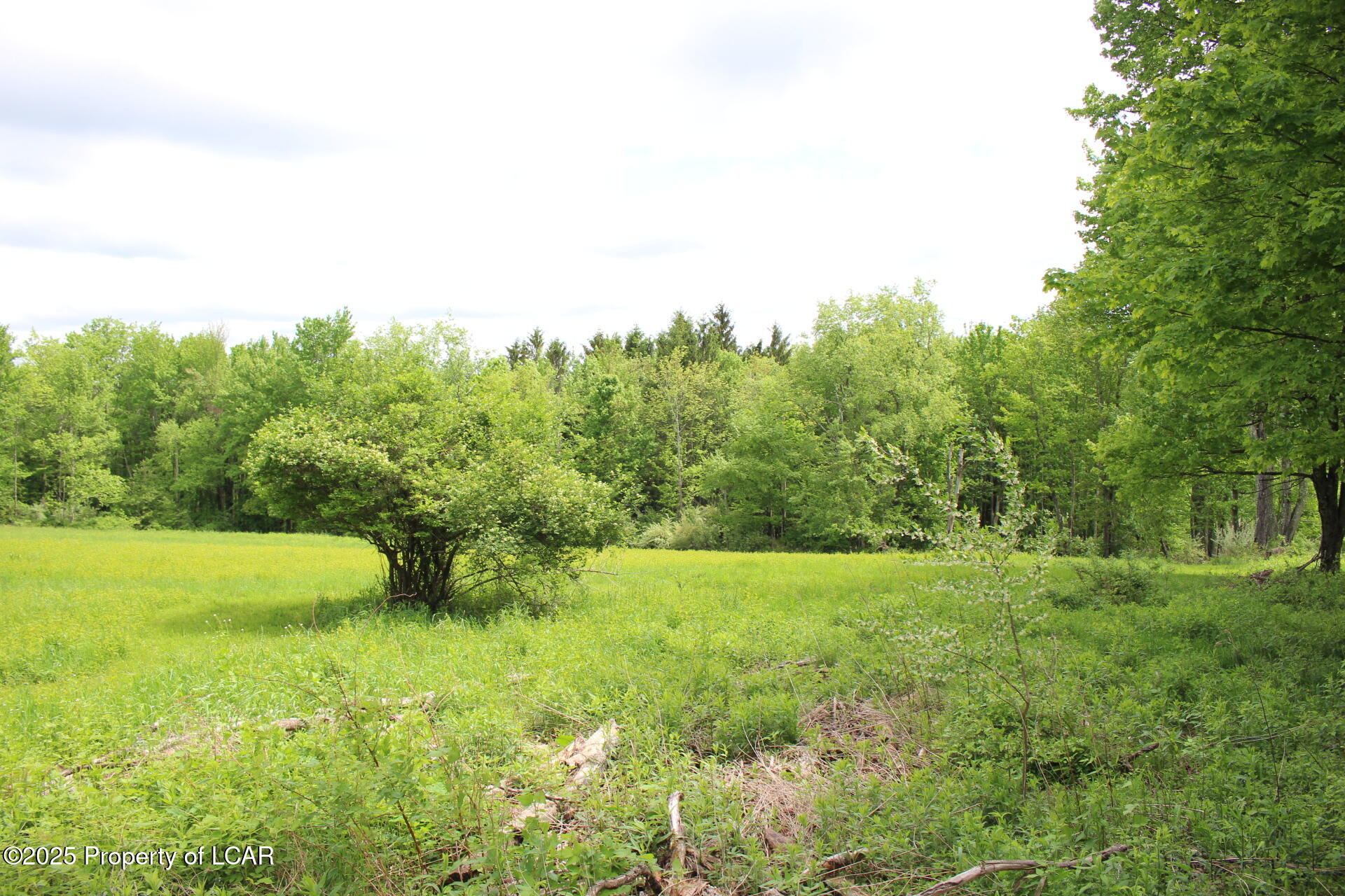 215 Linaberry Road, Montrose, Idaho image 33