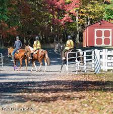 Turnberry Lane, Hazleton, Pennsylvania image 4