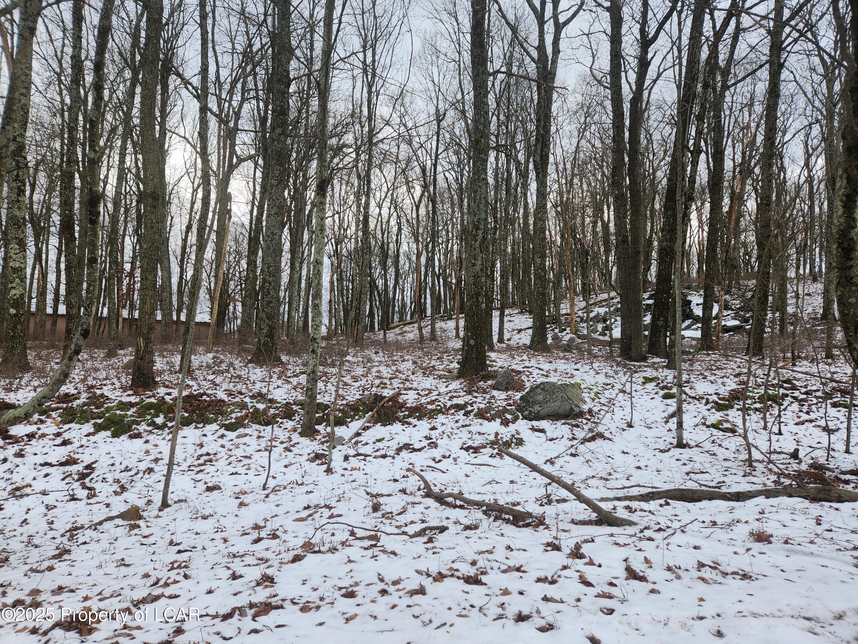 Mountain Terrace, White Haven, Pennsylvania image 12