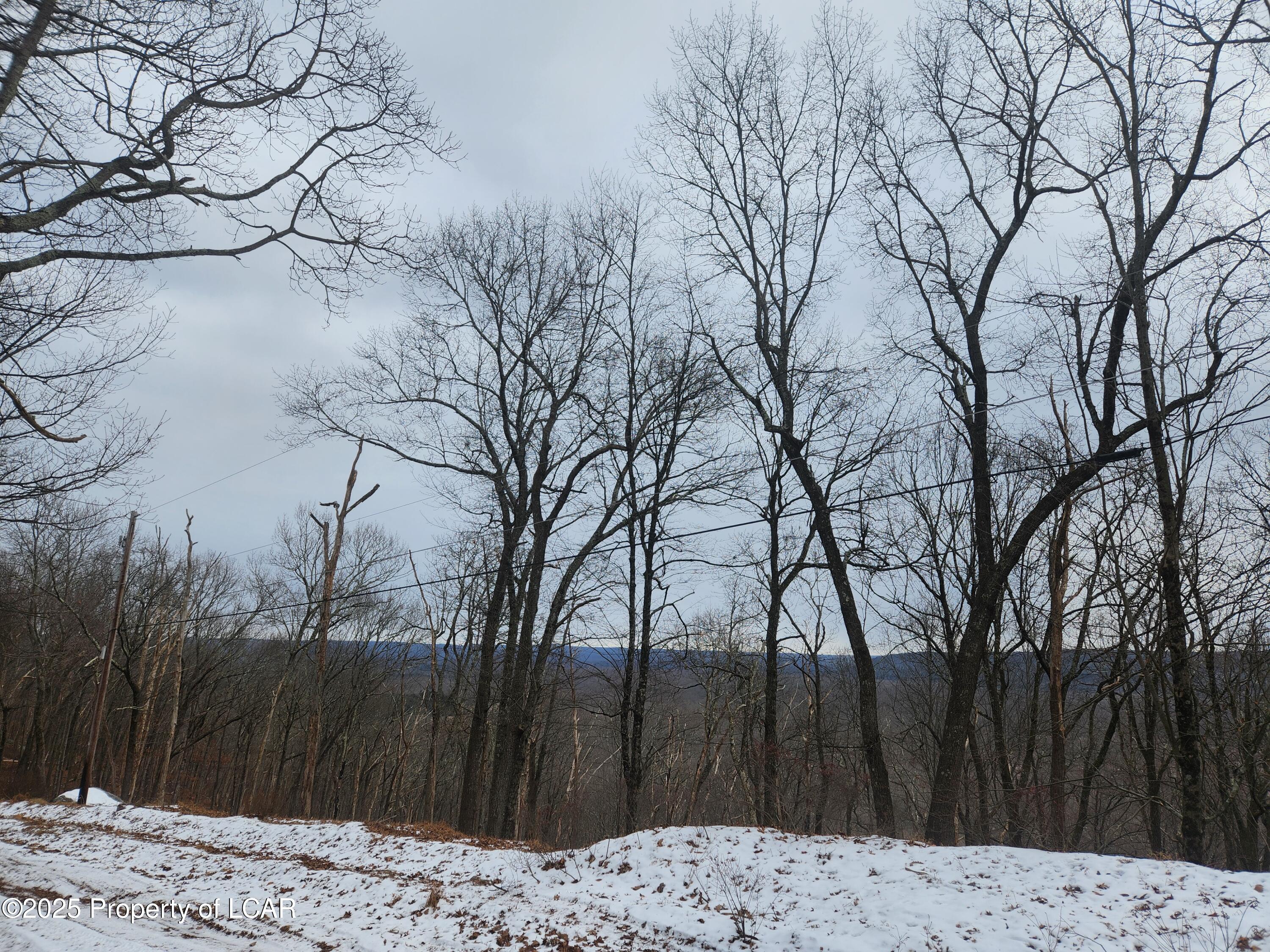 Mountain Terrace, White Haven, Pennsylvania image 5