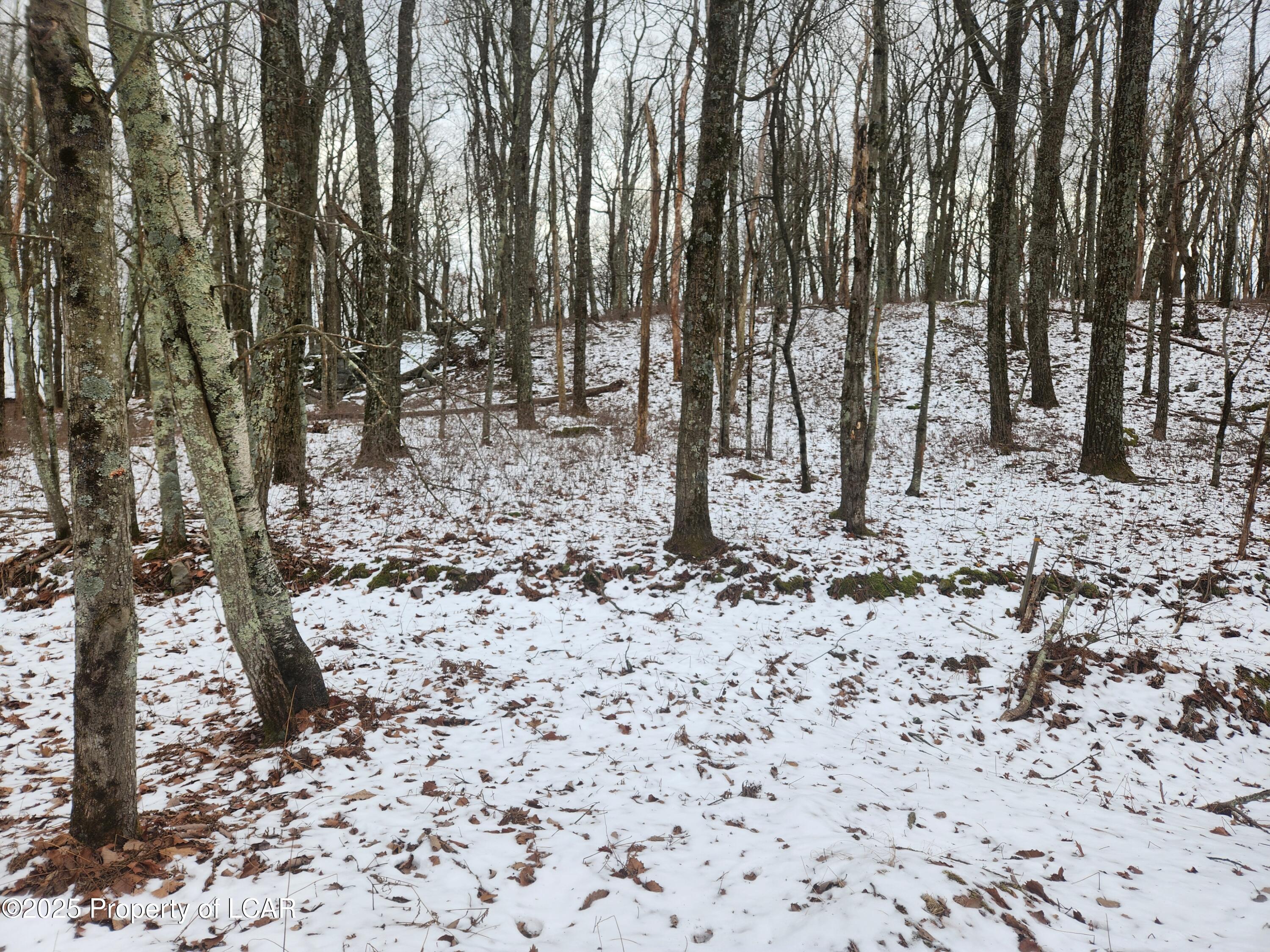 Mountain Terrace, White Haven, Pennsylvania image 11