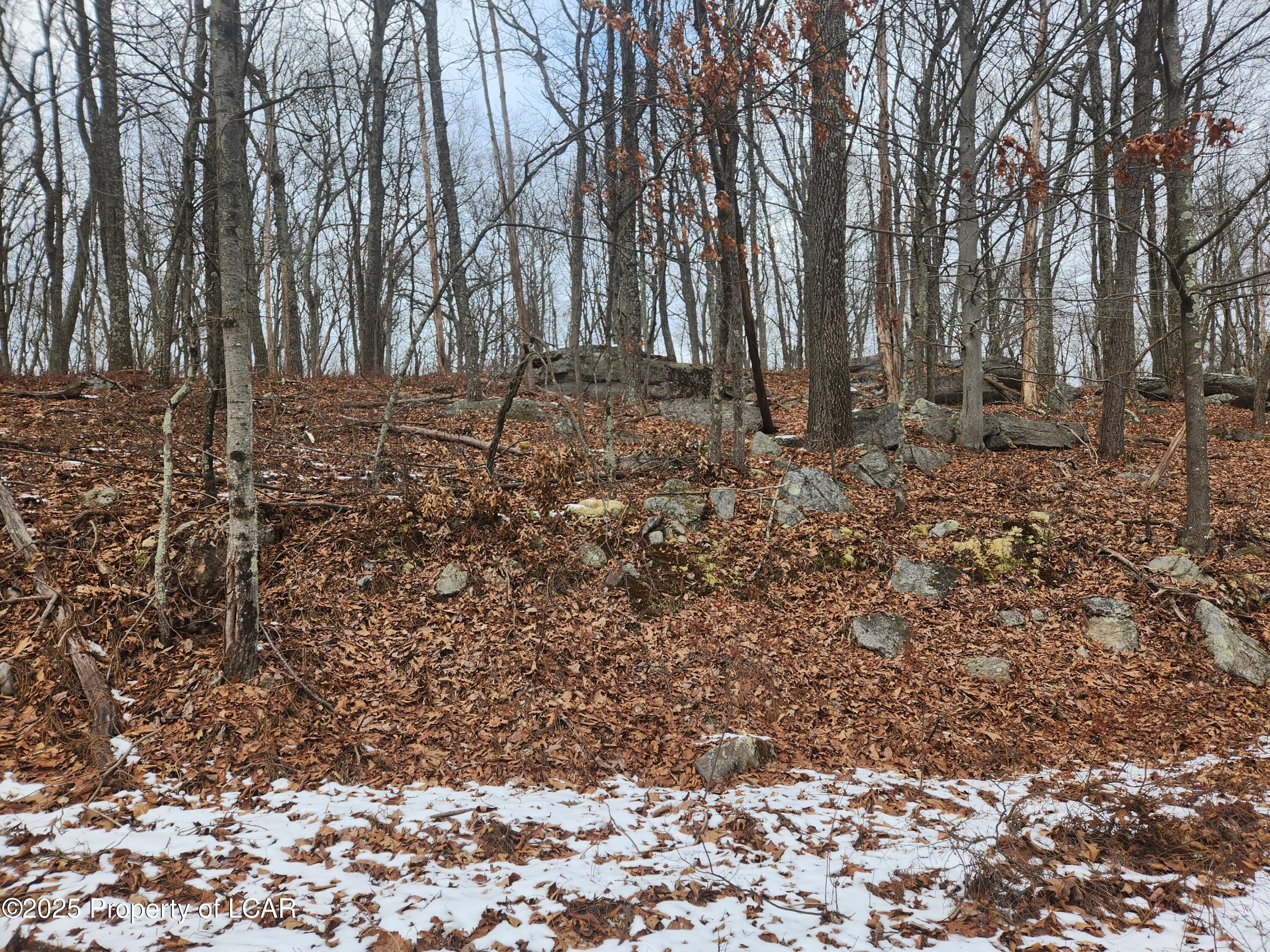 Mountain Terrace, White Haven, Pennsylvania image 9