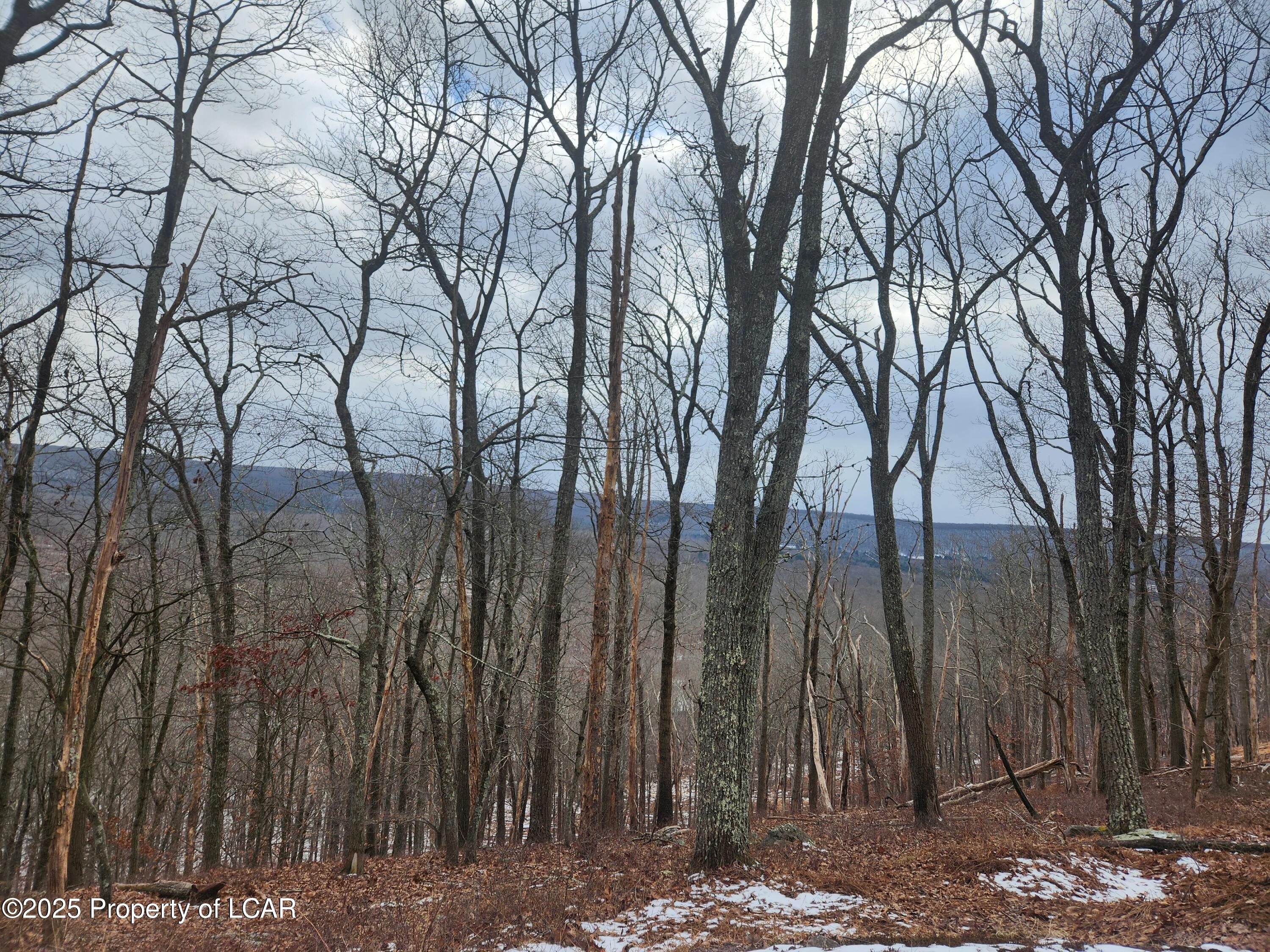 Mountain Terrace, White Haven, Pennsylvania image 2