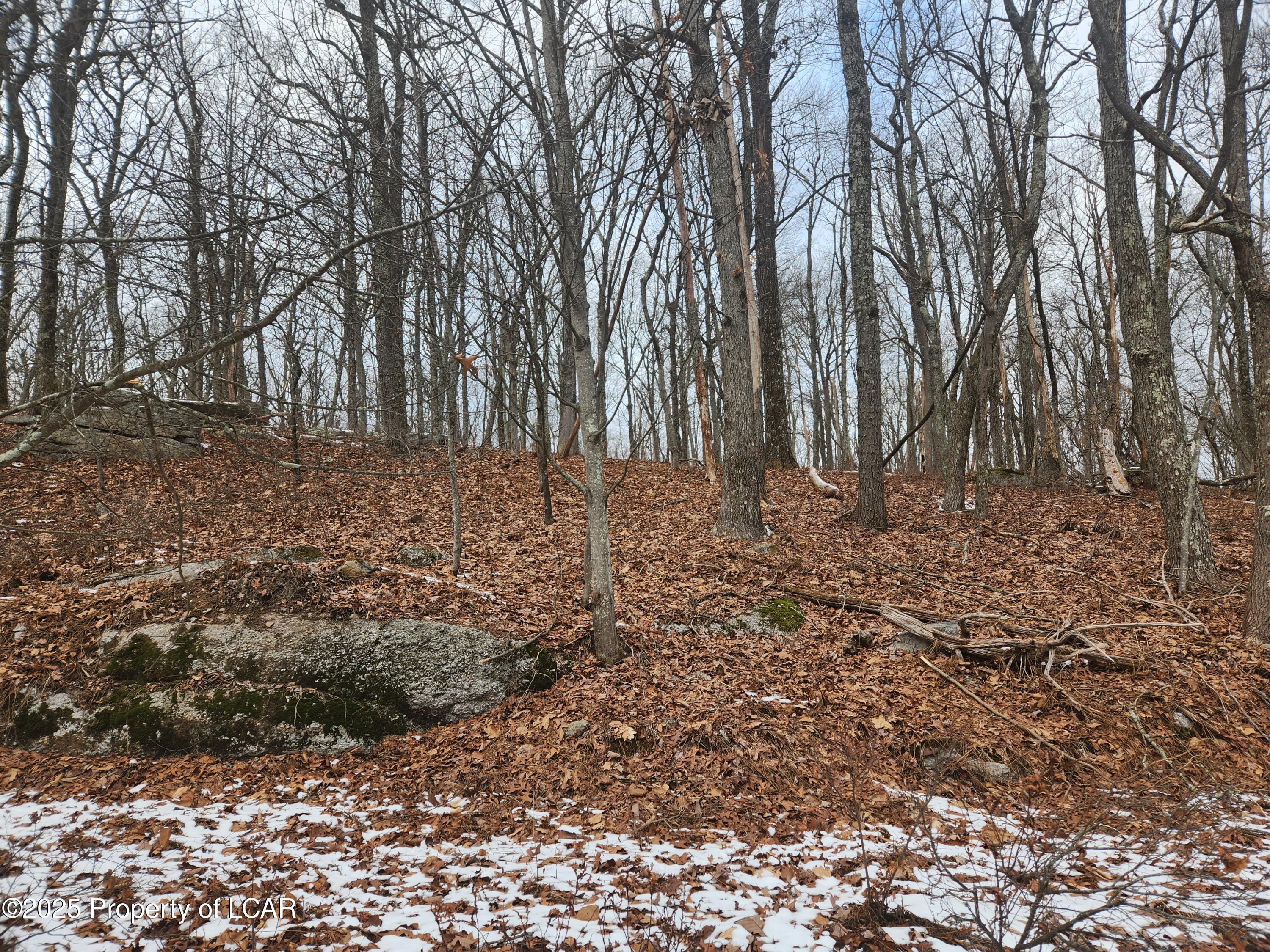 Mountain Terrace, White Haven, Pennsylvania image 7