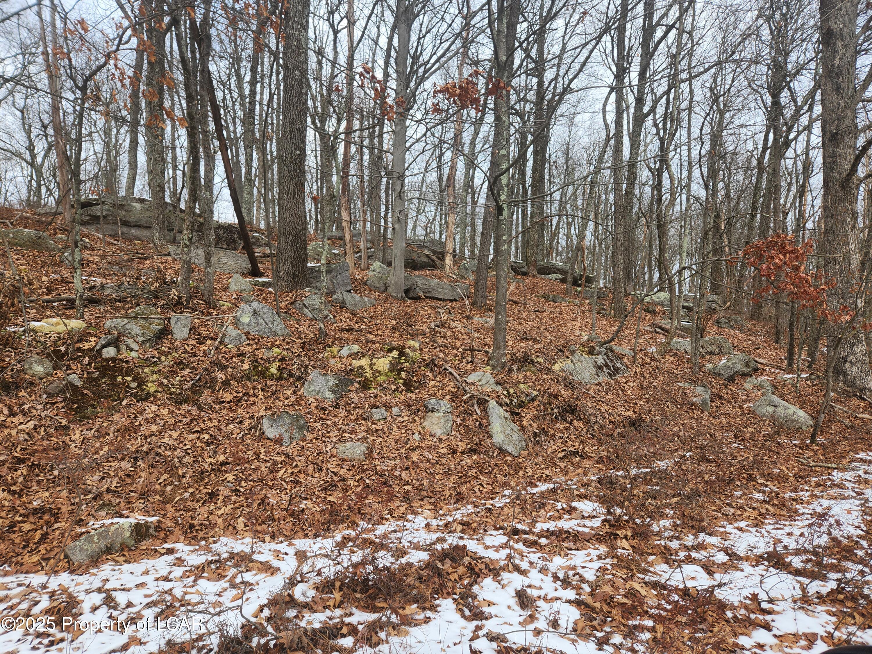 Mountain Terrace, White Haven, Pennsylvania image 8