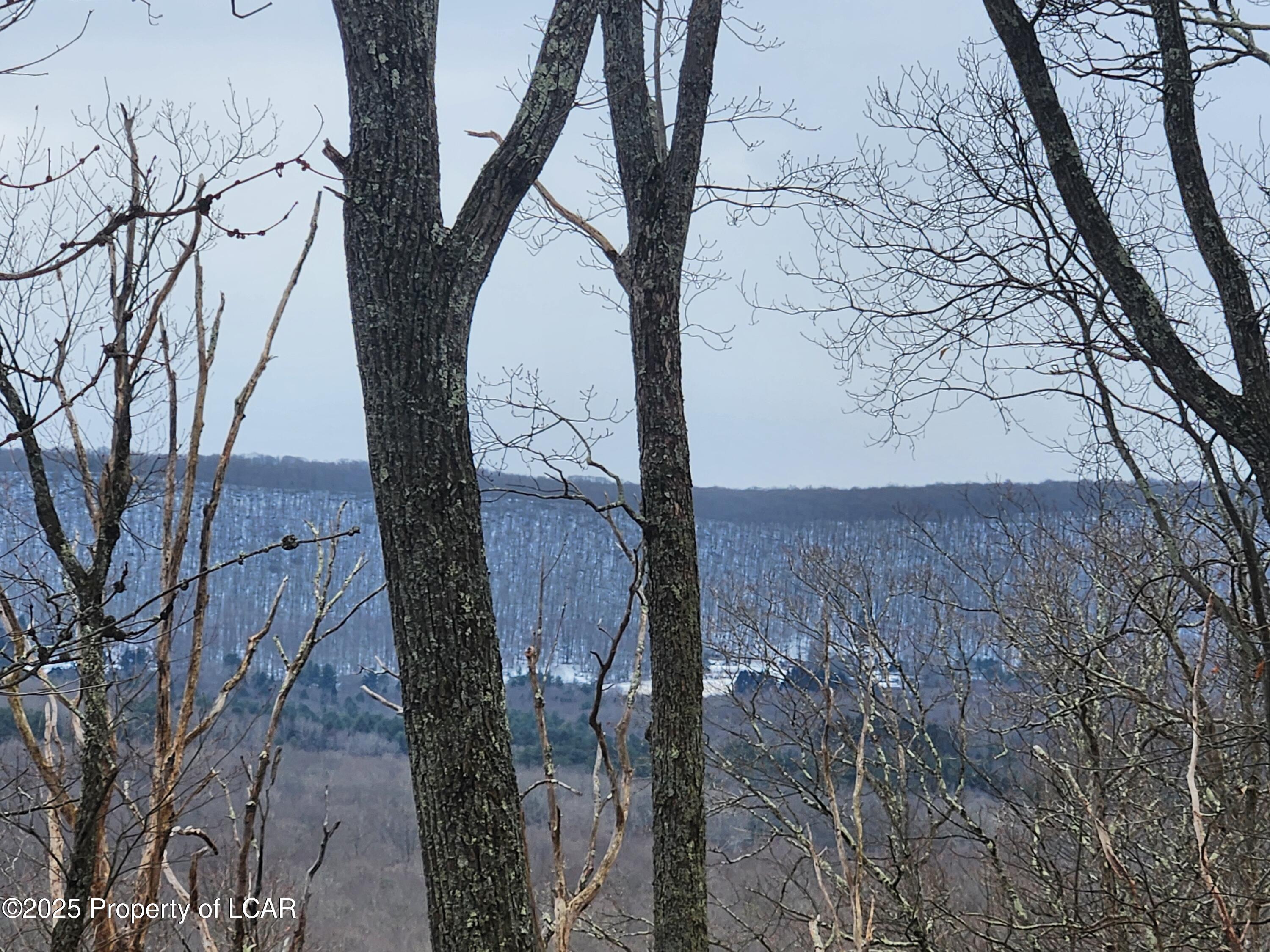 Mountain Terrace, White Haven, Pennsylvania image 1