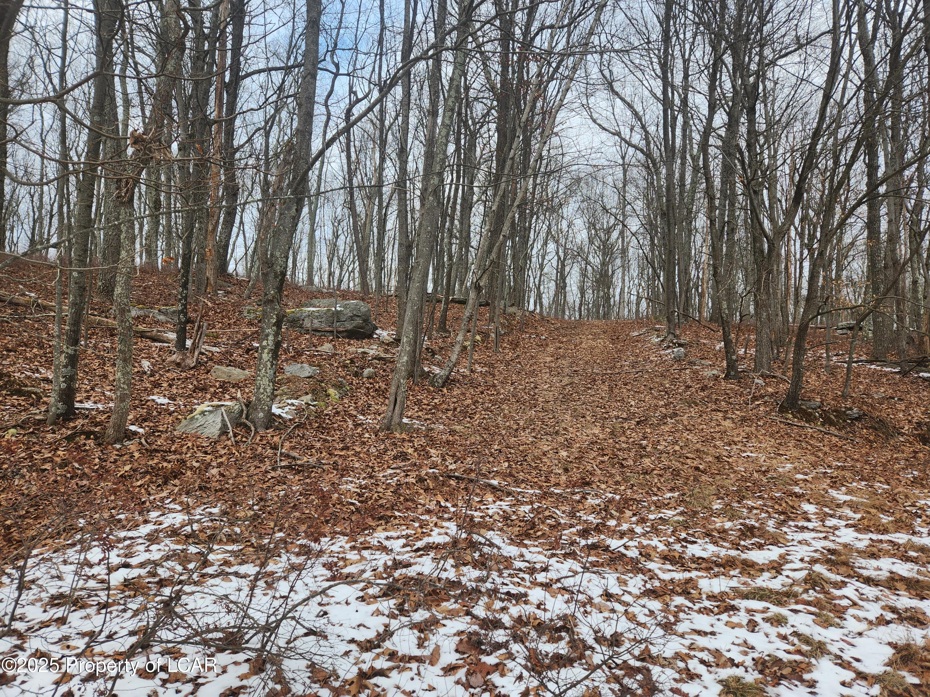 Mountain Terrace, White Haven, Pennsylvania image 10