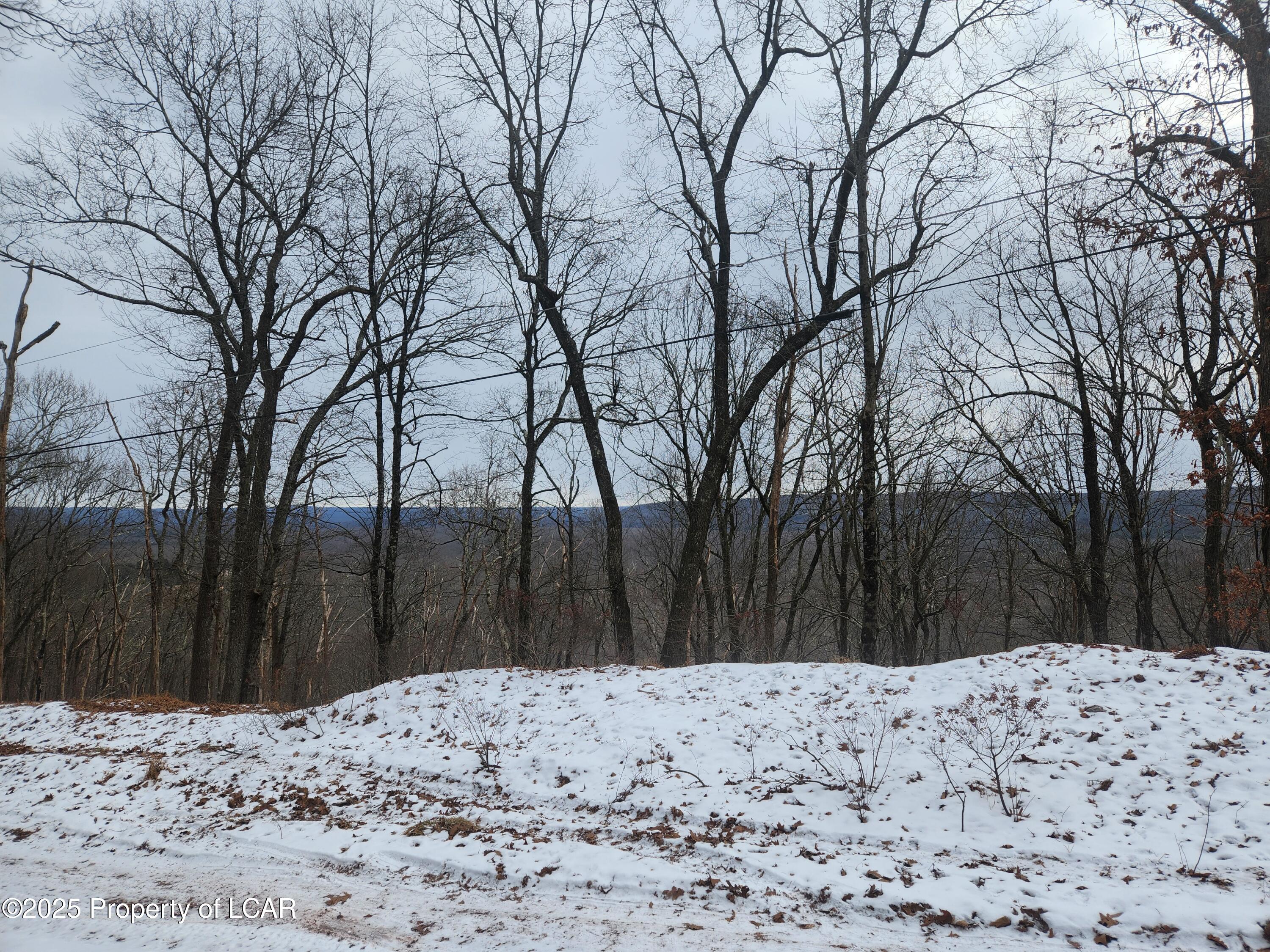 Mountain Terrace, White Haven, Pennsylvania image 4