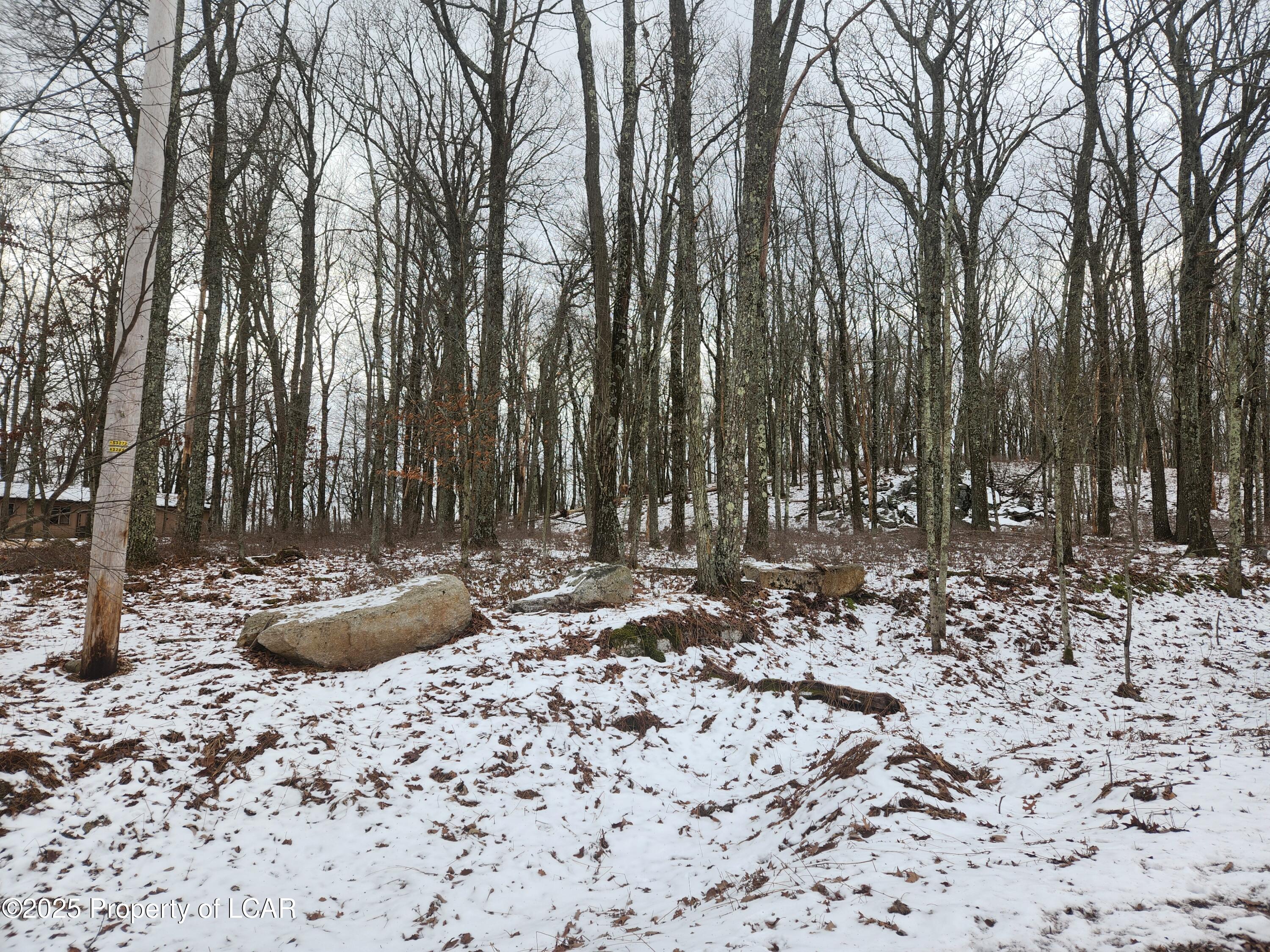 Mountain Terrace, White Haven, Pennsylvania image 13