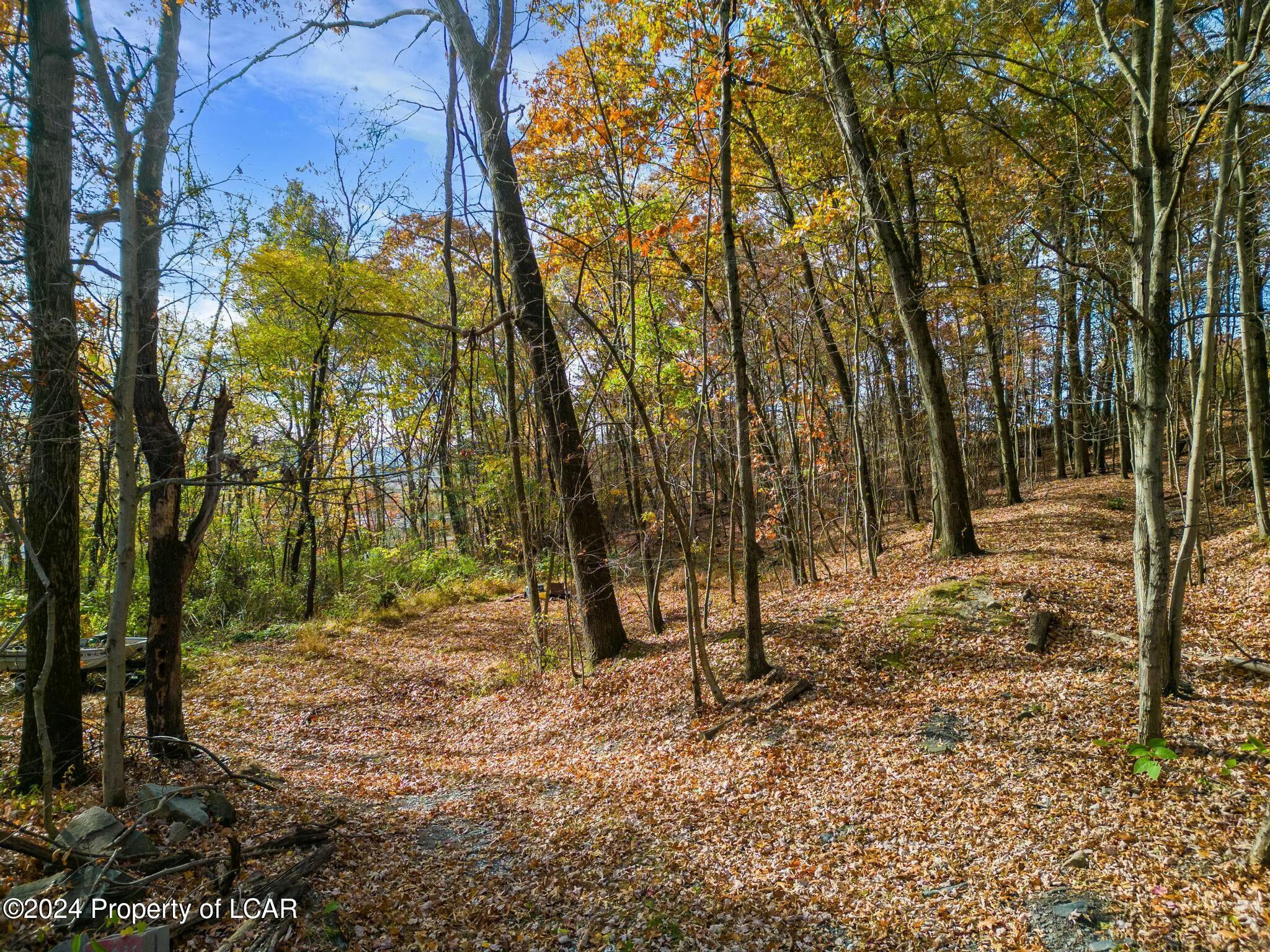 Jersey Road, Plymouth, Pennsylvania image 1