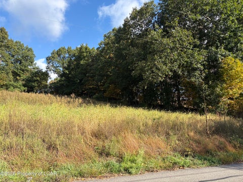 Vacant Land For Sale - Southdale Road<br/> Shickshinny, PA 18655