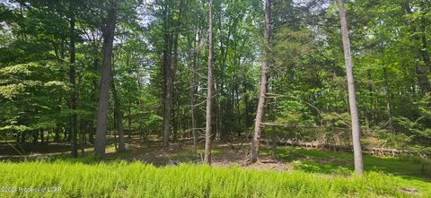 Vacant Land For Sale - Algonquin Drive<br/> Hazleton, PA 18202