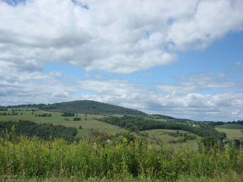 Vacant Land For Sale - Sheehan Road<br/> Wyoming County, Mehoopany, PA 18629