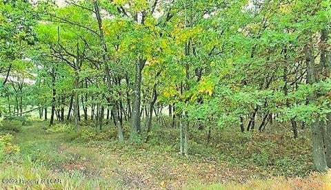 Vacant Land For Sale - Turnberry Lane<br/> Hazleton, PA 18202
