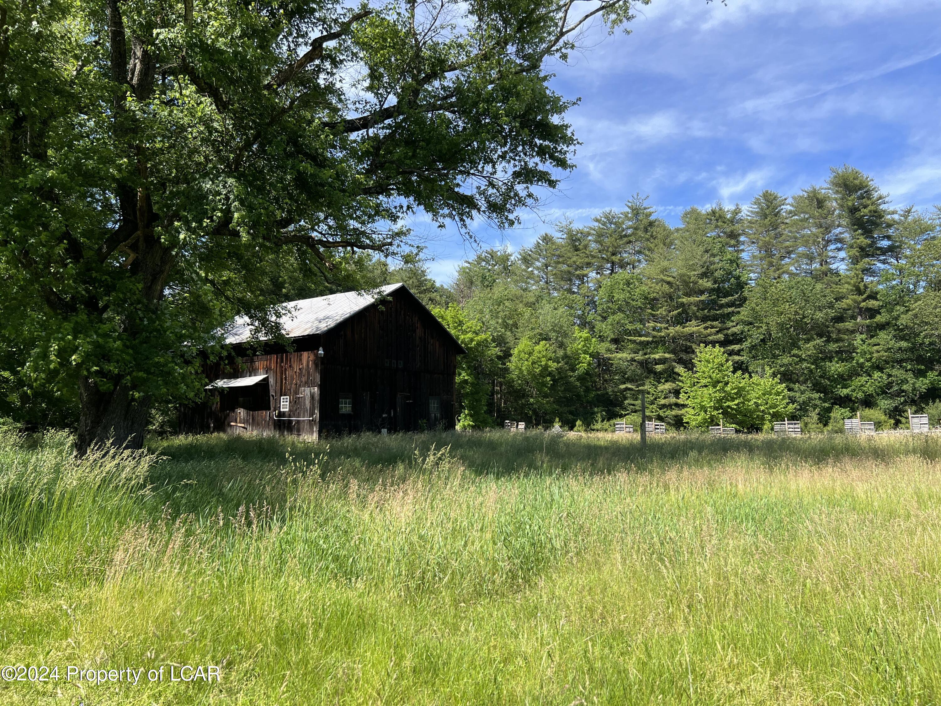 788 Ridge Road, Orangeville, Pennsylvania image 9