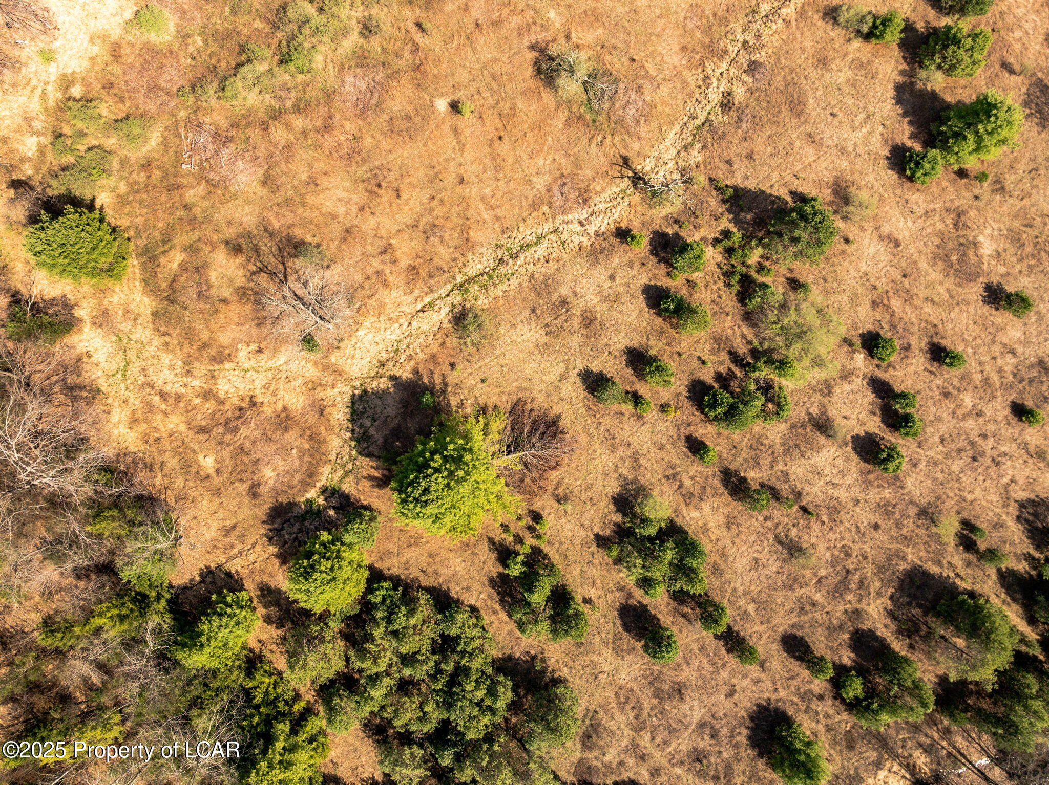 Old Mill Road, Ringtown, Alaska image 9