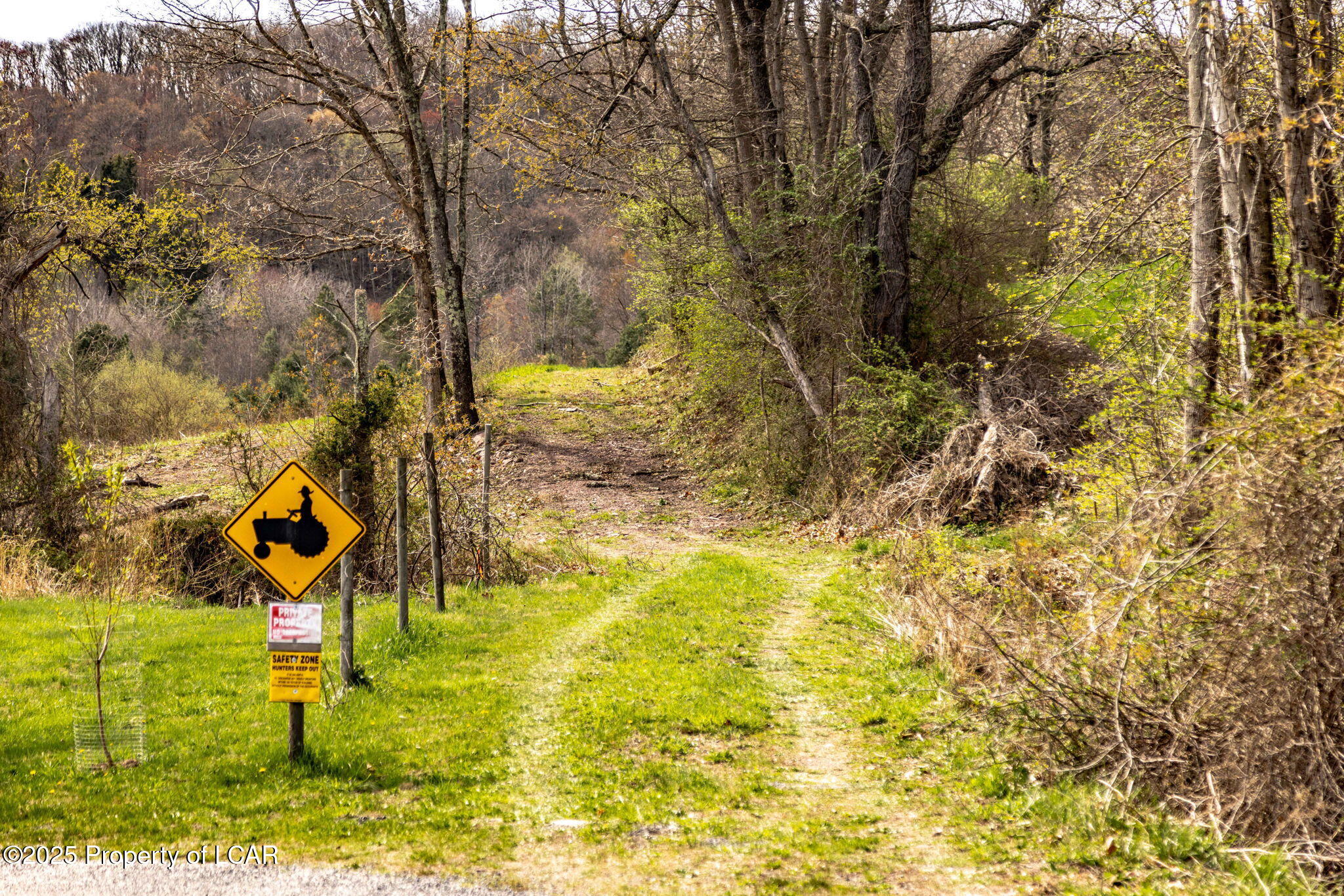 Old Mill Road, Ringtown, Alaska image 3