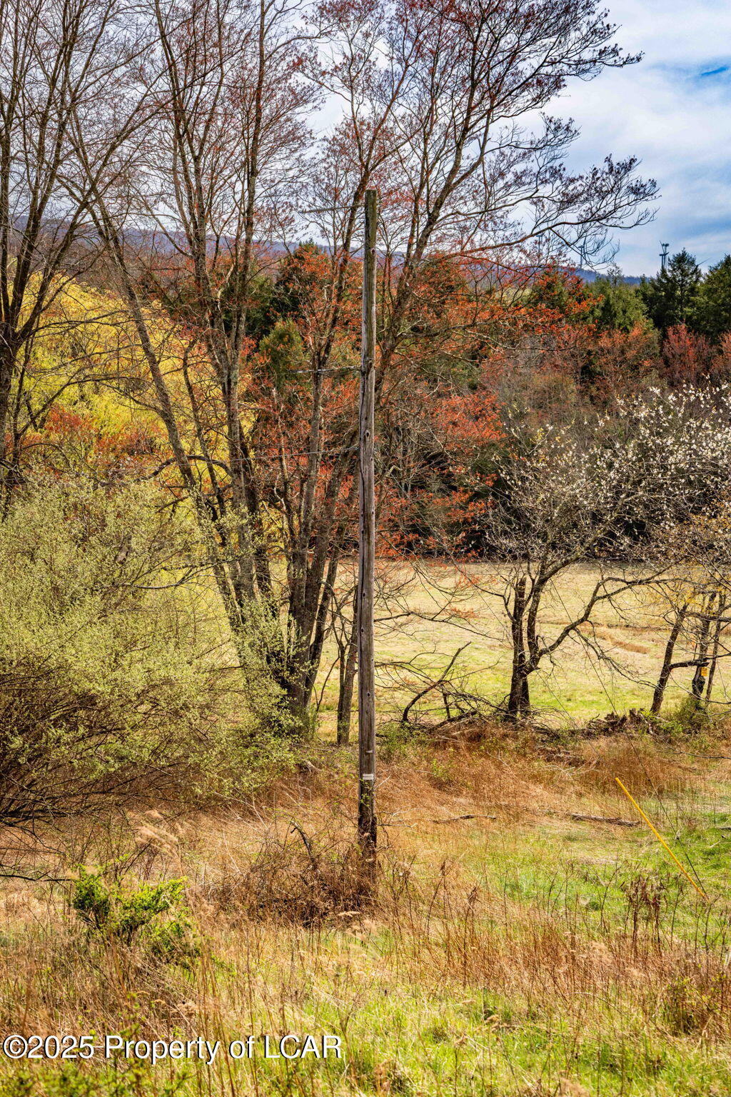 Old Mill Road, Ringtown, Alaska image 16