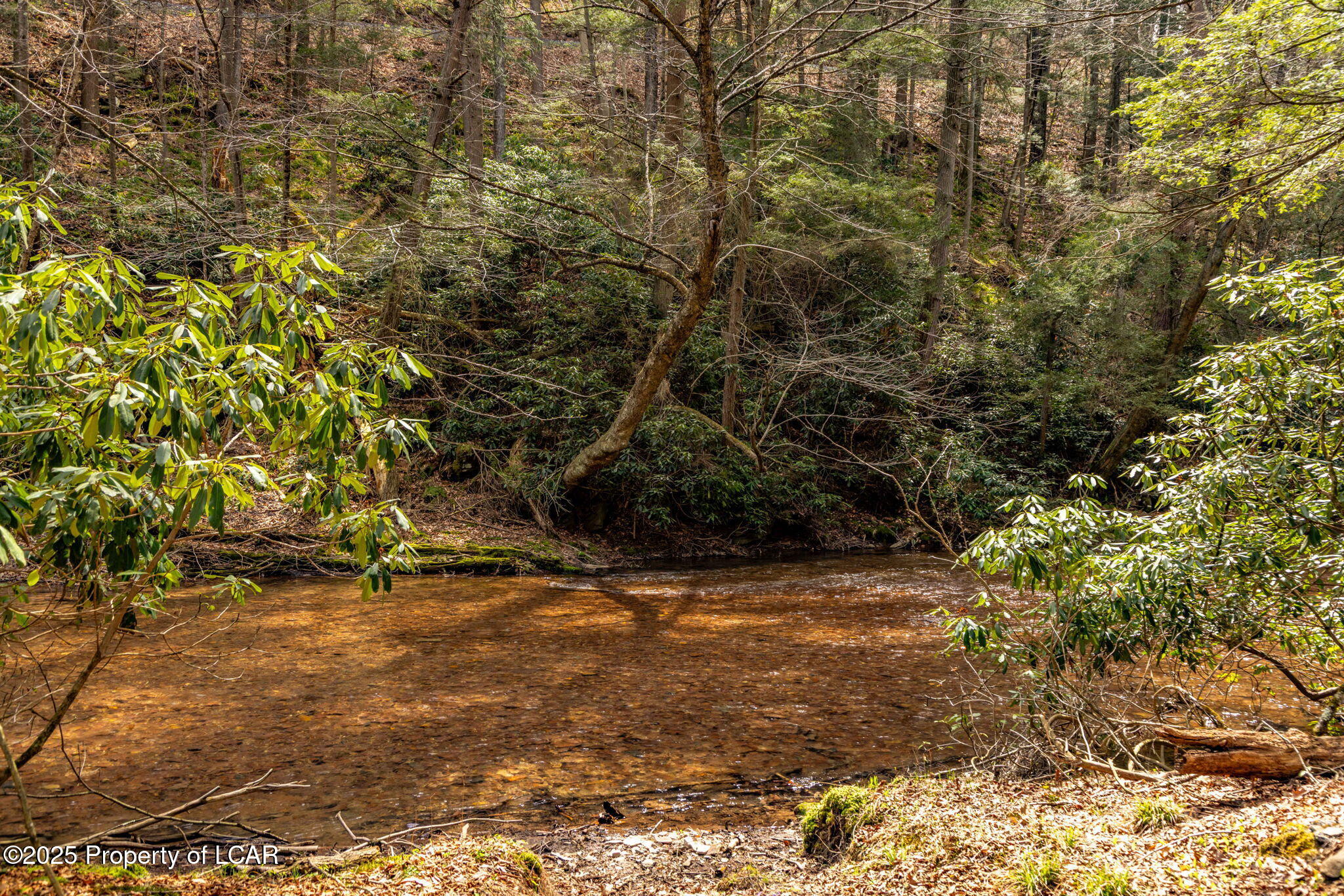 Old Mill Road, Ringtown, Alaska image 18