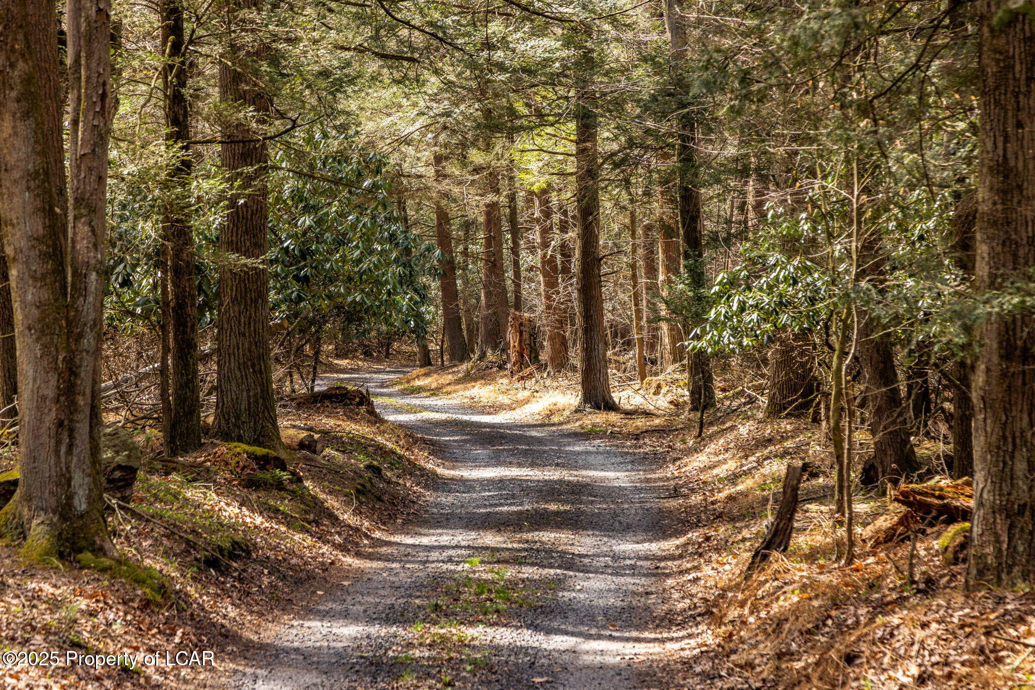 Old Mill Road, Ringtown, Alaska image 28