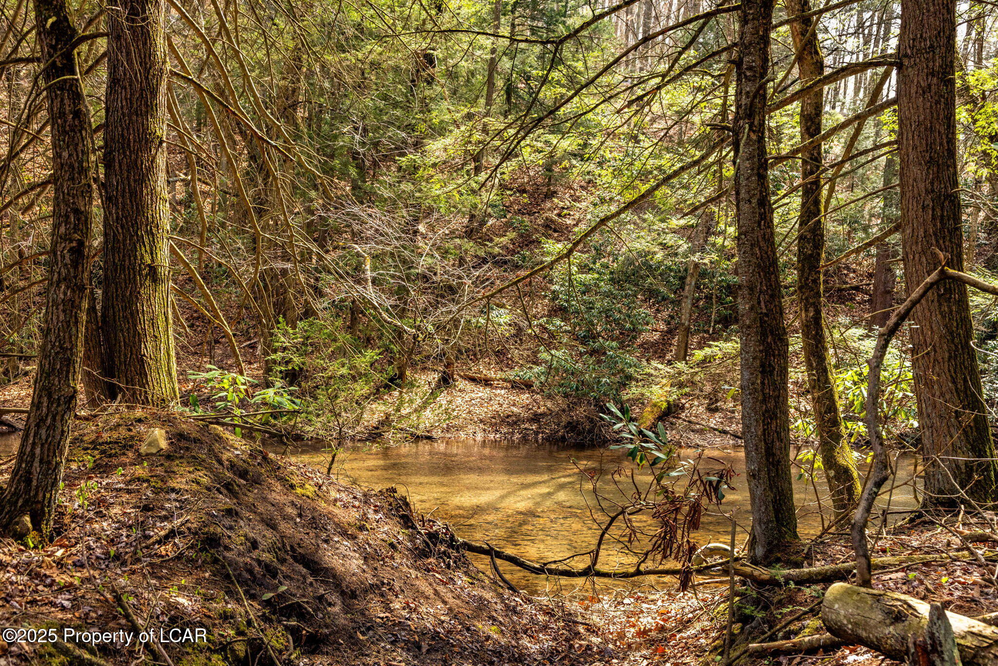 Old Mill Road, Ringtown, Alaska image 19