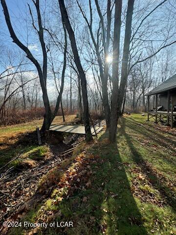 3172 Pa-487 Drive, Orangeville, Pennsylvania image 9