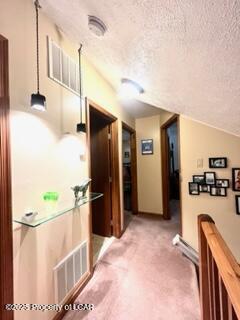 208 Owego Drive, Hazleton, Alaska image 25