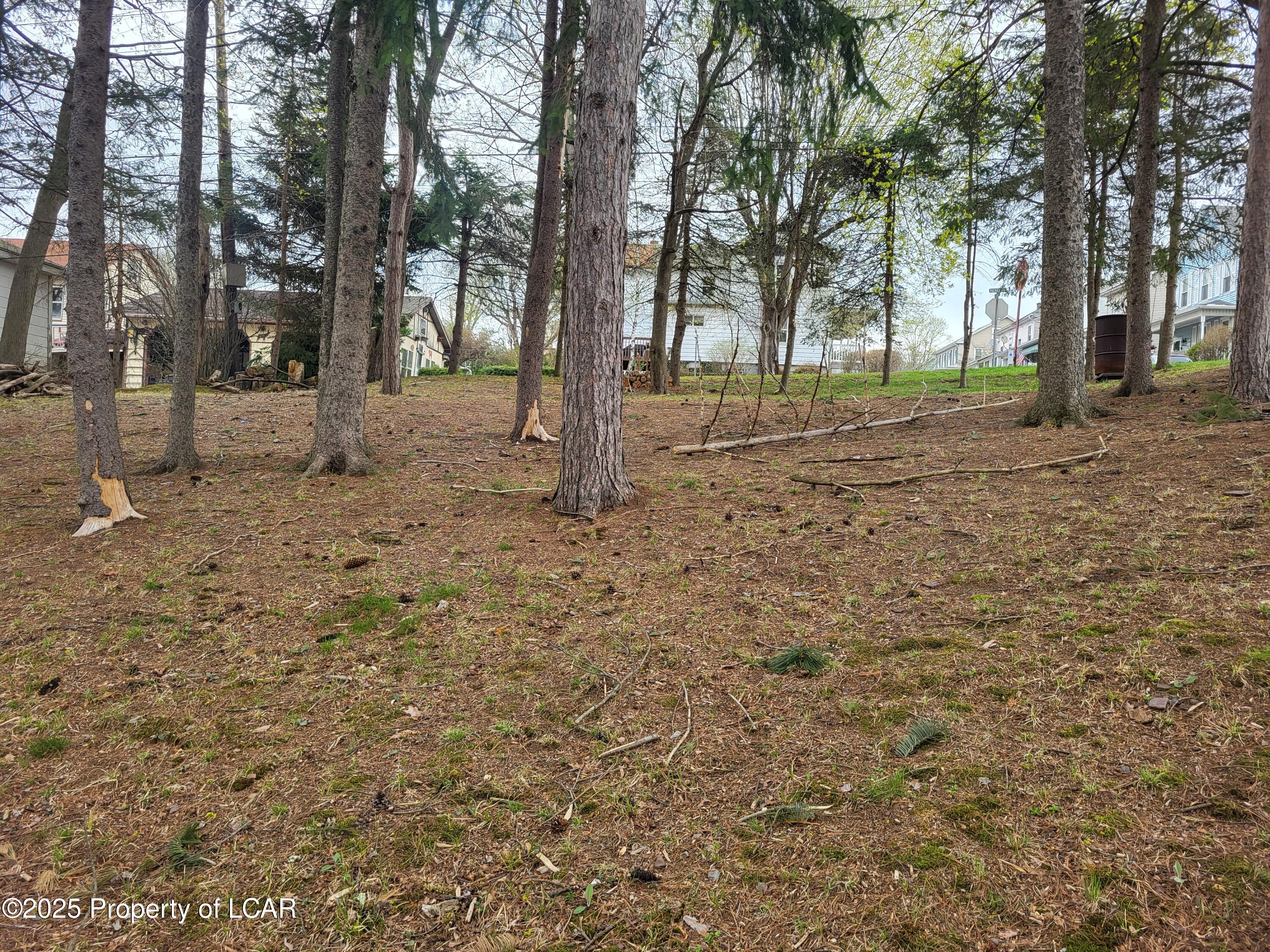 333 Carbon Street, Weatherly, Pennsylvania image 25