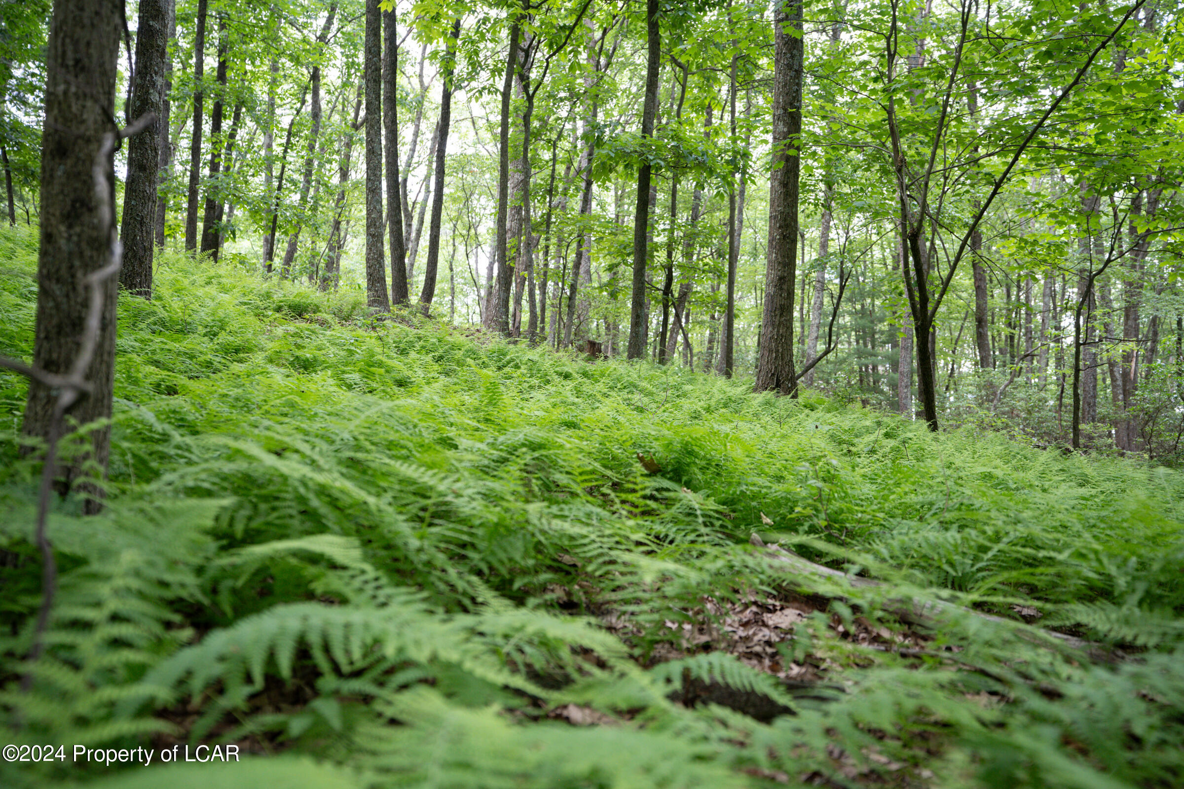 Weavertown Road, Shavertown, Pennsylvania image 15