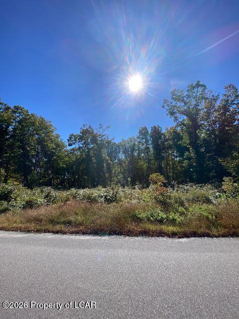 Vacant Land For Sale - Wood Drive<br/> Luzerne County, Hazle Twp, PA 18201