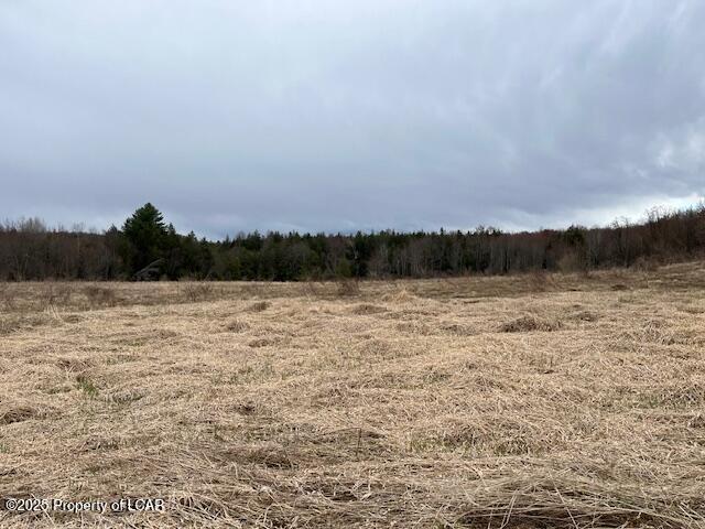1902 Ravnikar Road, Forest City, Texas image 19