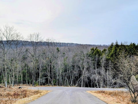 Vacant Land For Sale - Tahkox Drive<br/> Schuylkill County, North Union Twp., PA 18202