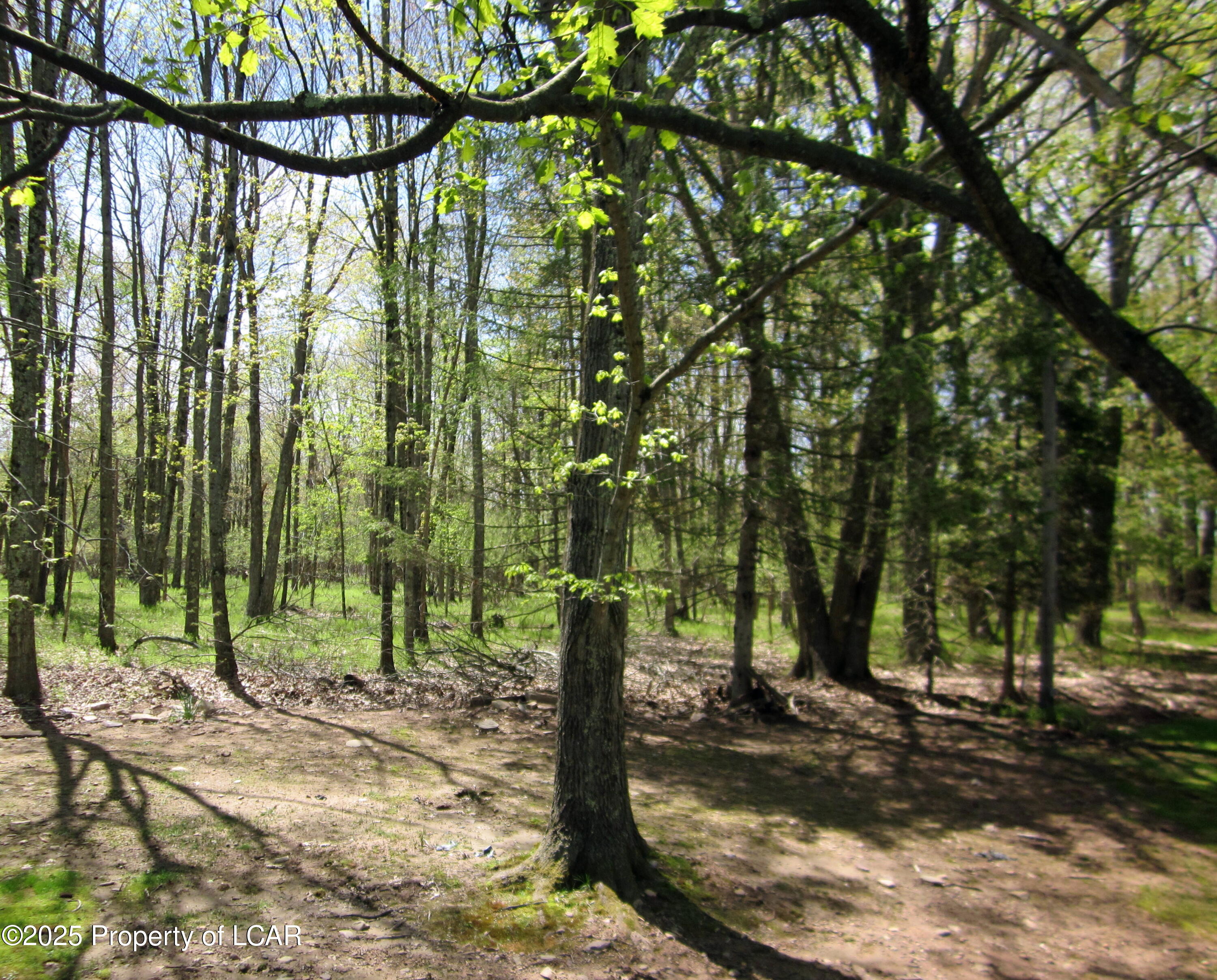 1584 N Mountain  View Drive, Bear Creek, Alaska image 19