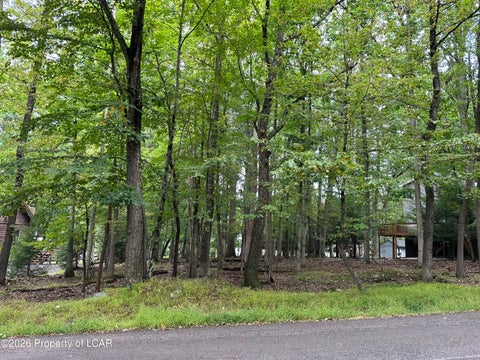 Vacant Land For Sale - Bear Run Drive<br/> Luzerne County, Drums, PA 18222