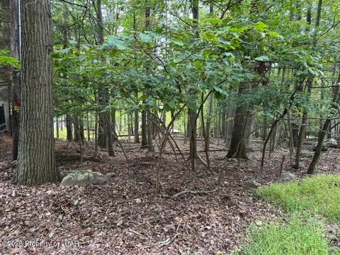 Vacant Land For Sale - Bear Run Drive<br/> Drums, PA 18222