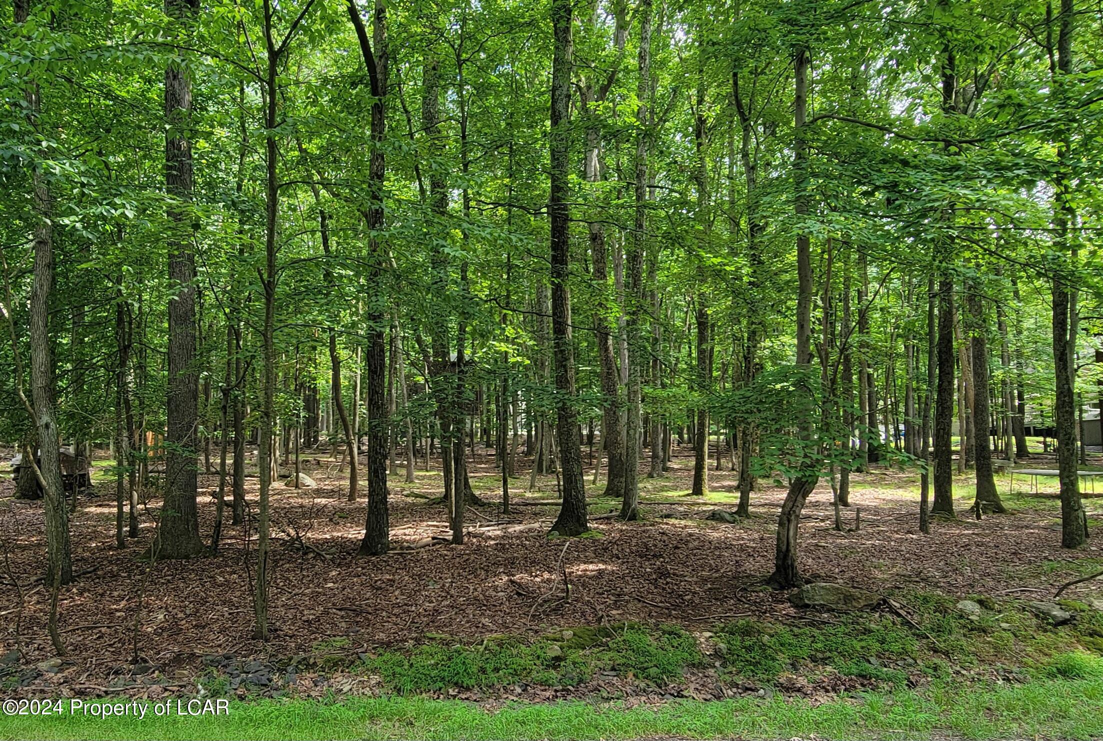 Indigo Circle, Hazleton, Pennsylvania image 4