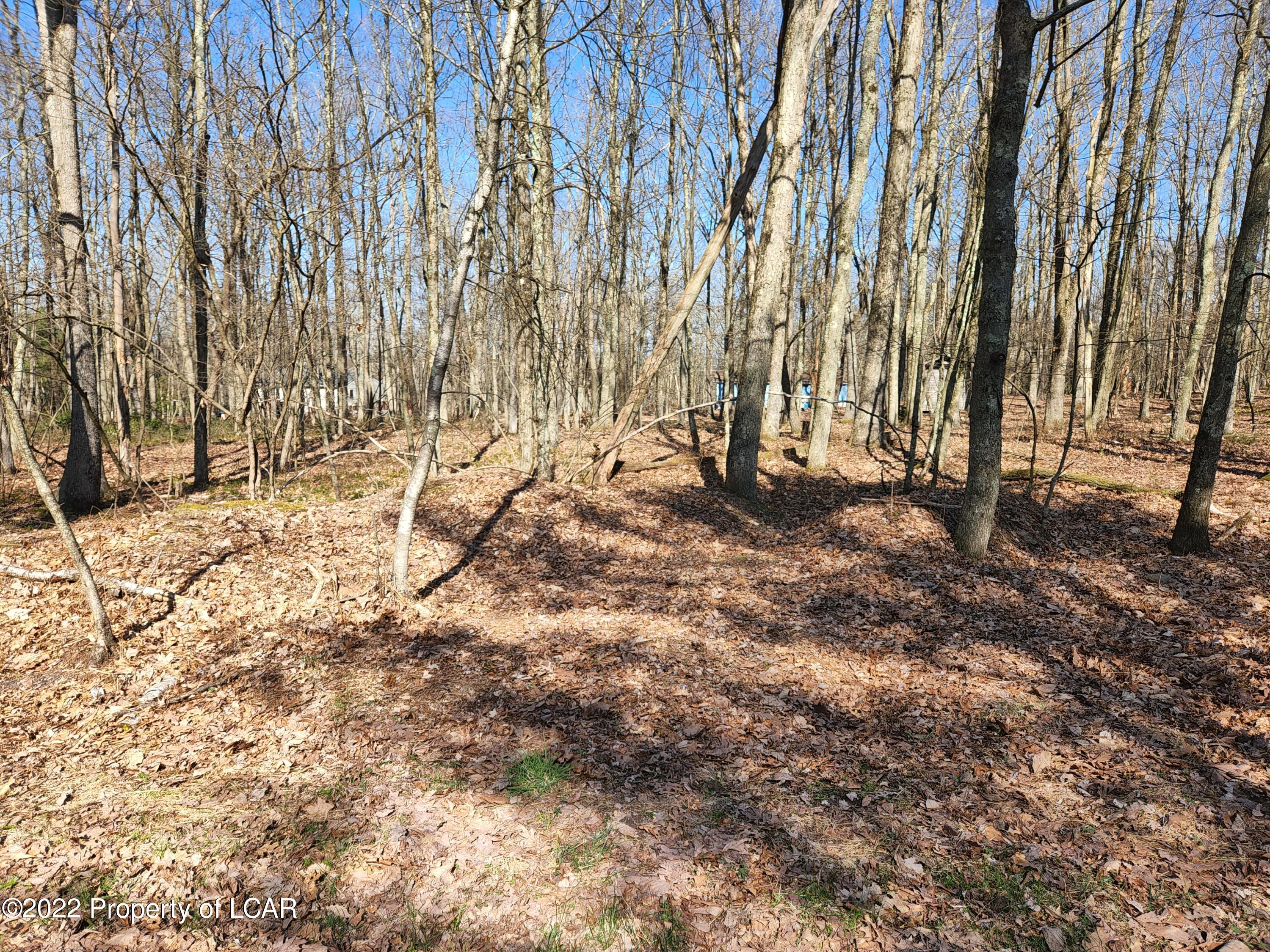 Hillary Drive, White Haven, Pennsylvania image 1