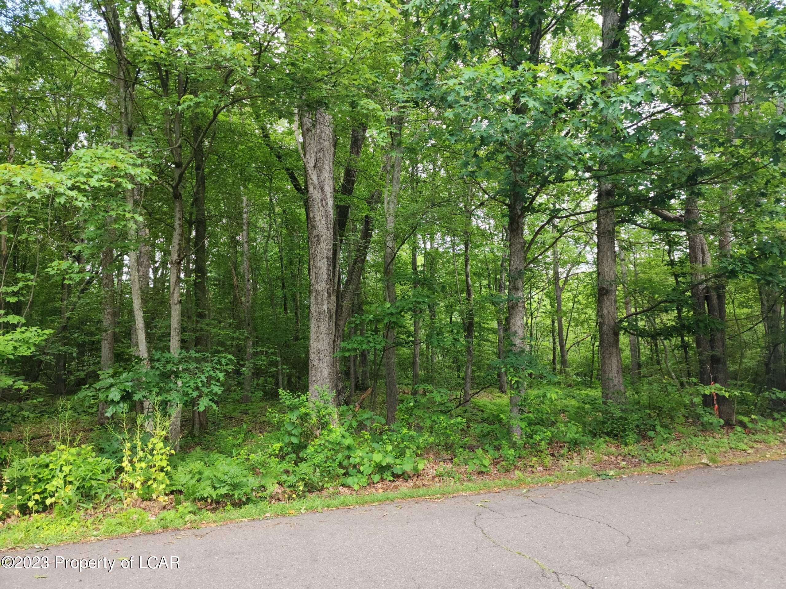 Meyers Street, Mountain Top, Pennsylvania image 3