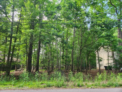 Vacant Land For Sale - Shingle Mill Drive<br/> Drums, PA 18222