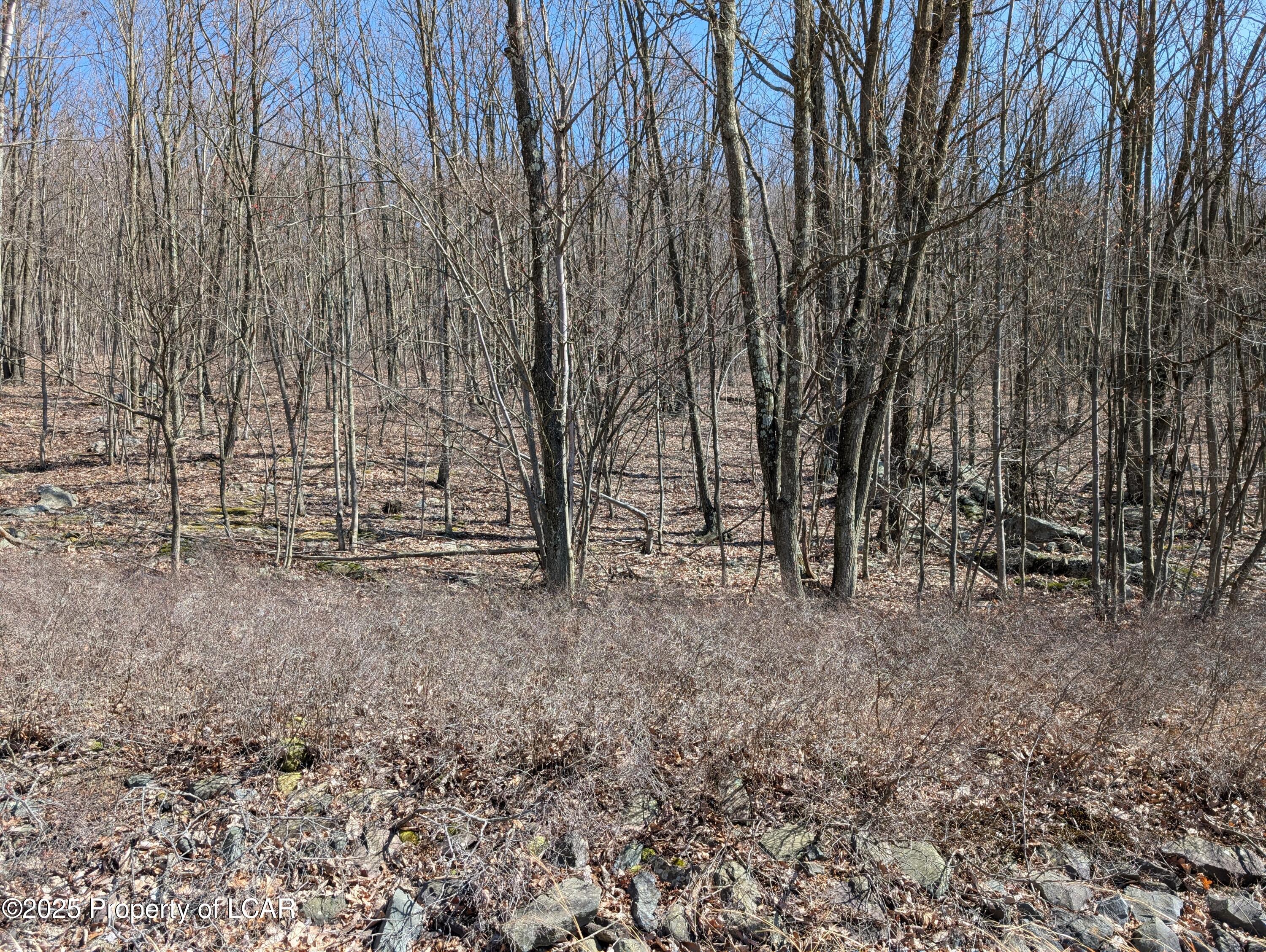 L15 Blk 1 E Elderberry Lane, Hazle Twp, Texas image 3