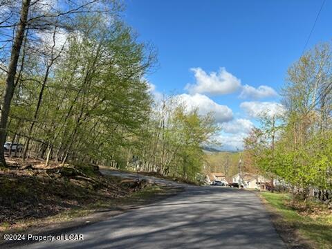 Avalanche Lane, Drums, Pennsylvania image 3