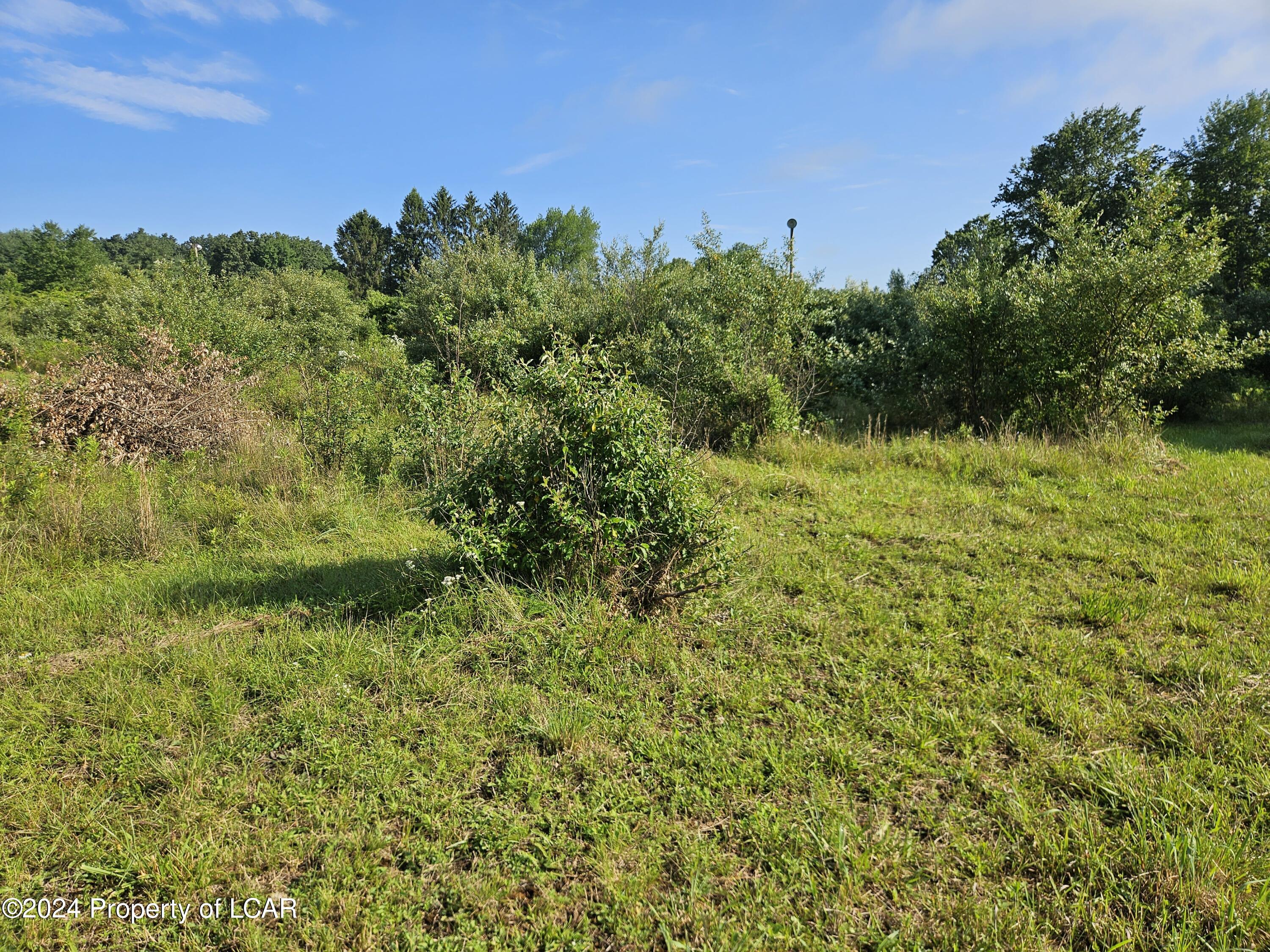 Bee Tree Road, Shickshinny, Pennsylvania image 26