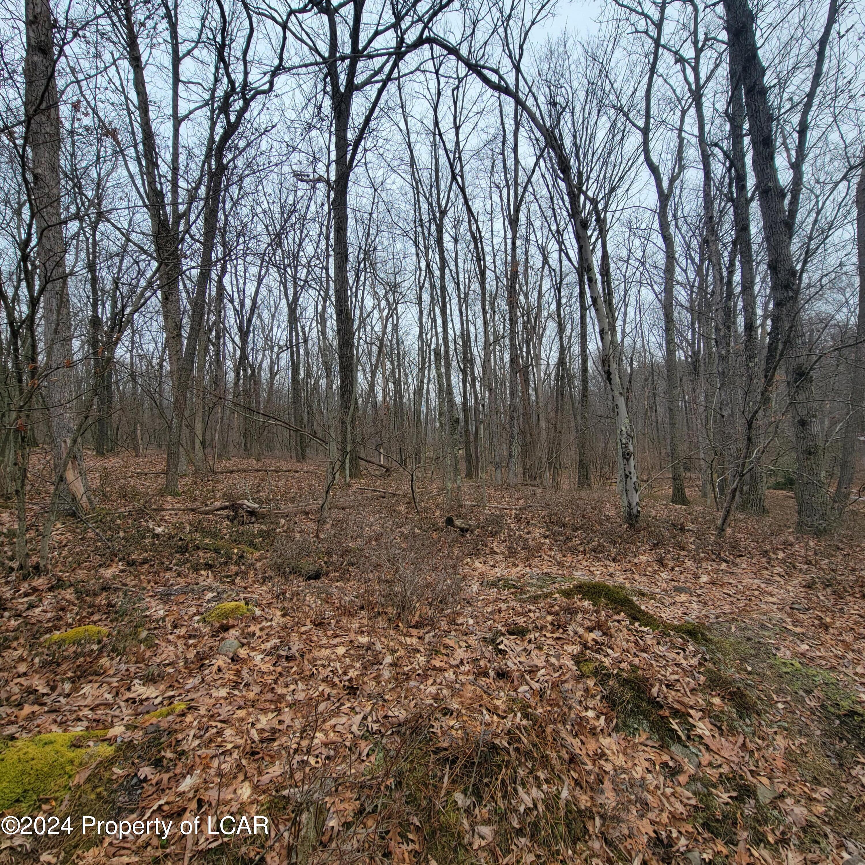 Hillary Drive, White Haven, Pennsylvania image 2