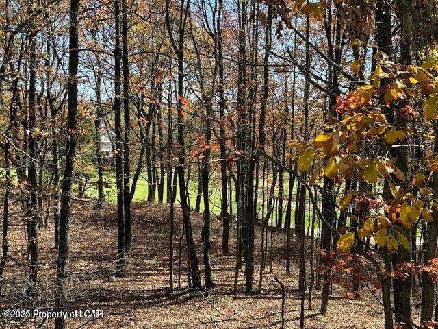 23 Pine Valley Lane, Hazle Twp, Idaho image 5